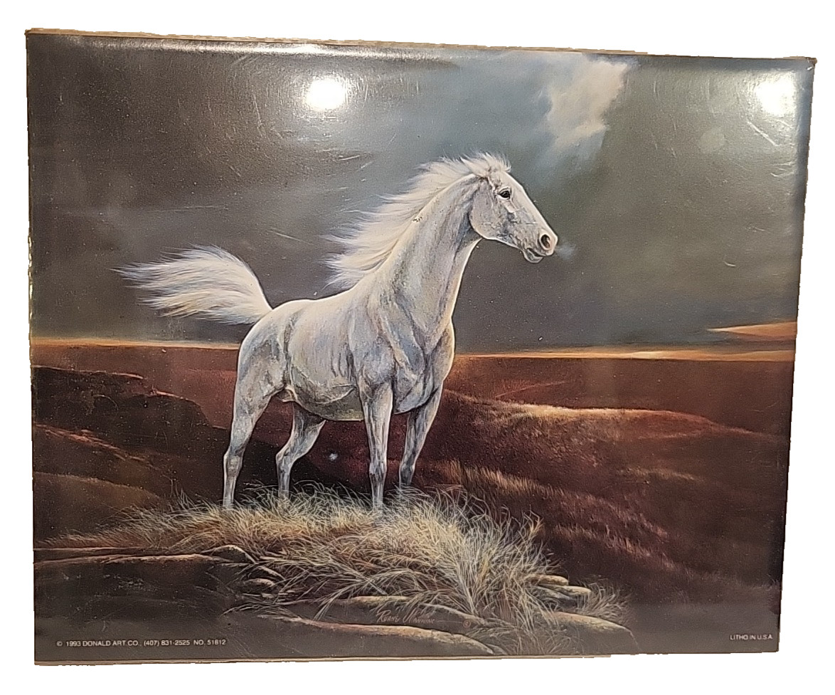 Vintage 1993 Donald Art Co Litho Print Horse on Plains Mountains Color NOS 8×10″