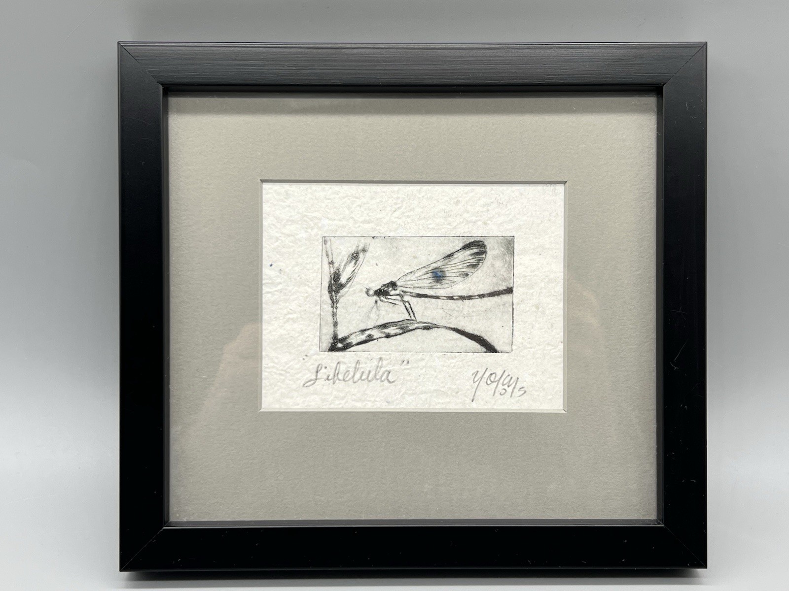 Original Fine Art Dragonfly Small Etching Hand Signed & Framed 7×8”