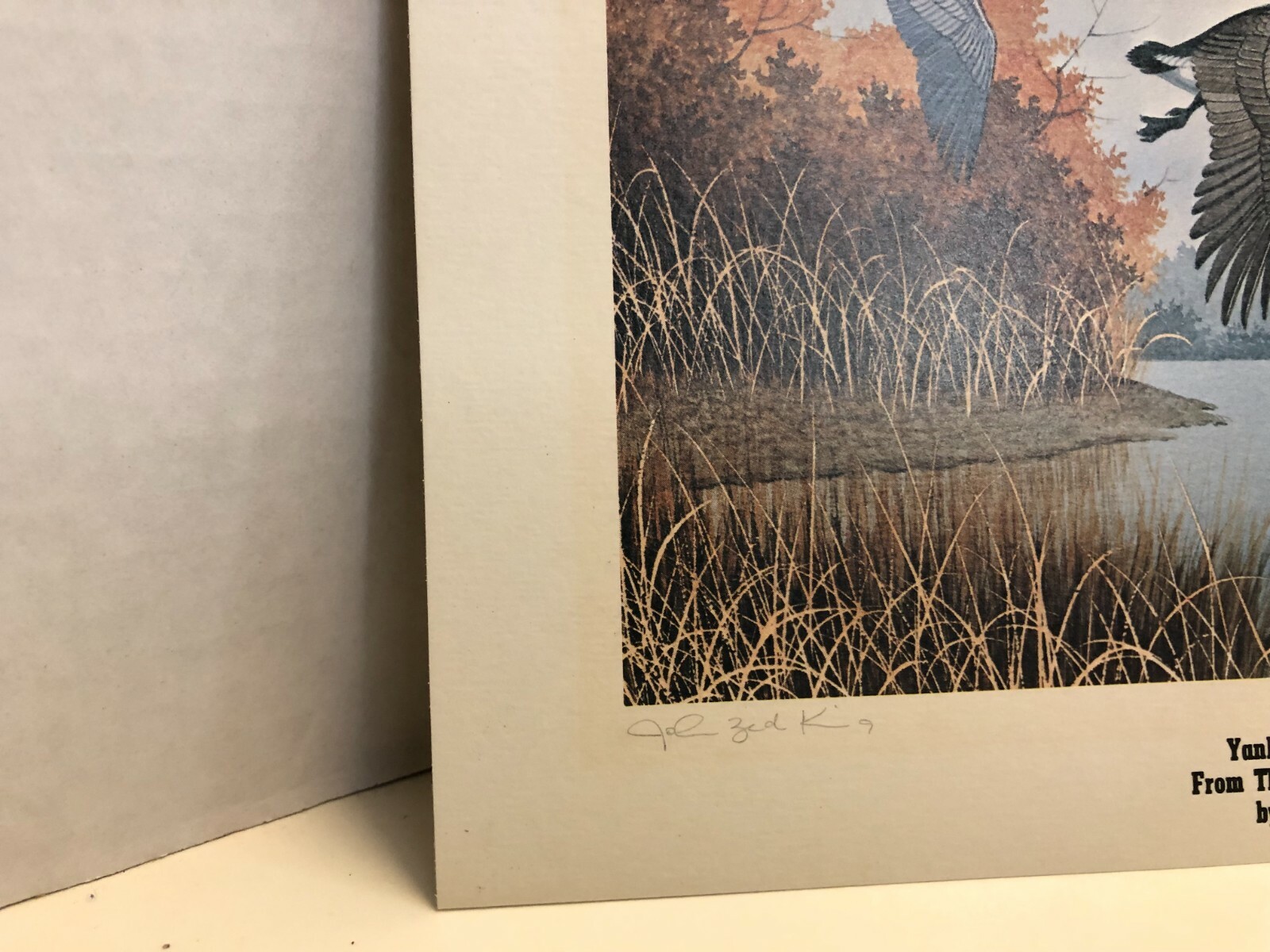 Limited Edition Prints John Zed King Signed & Numbered Alabama Wildlife