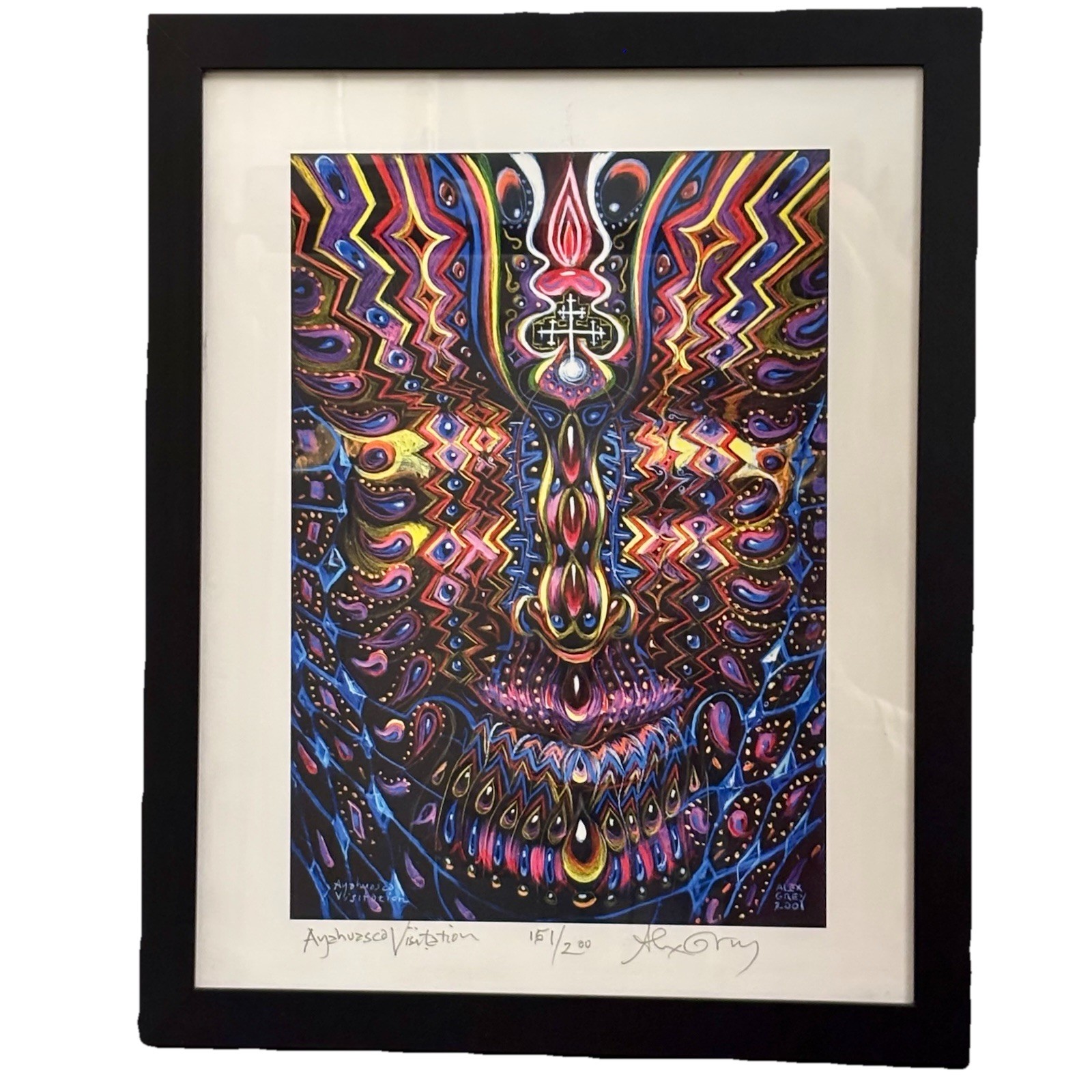 Alex Grey Ayahuasca Visitation Art Print Numbered 151/200 Signed Framed