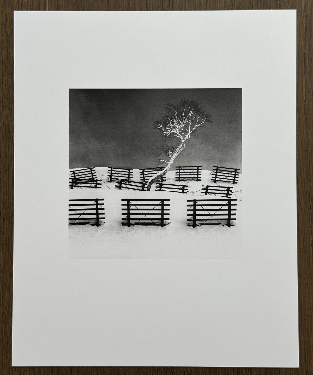 RARE! Michael Kenna – Dakekanba, Hokkaido 2020, Original Collotype Print, Japan