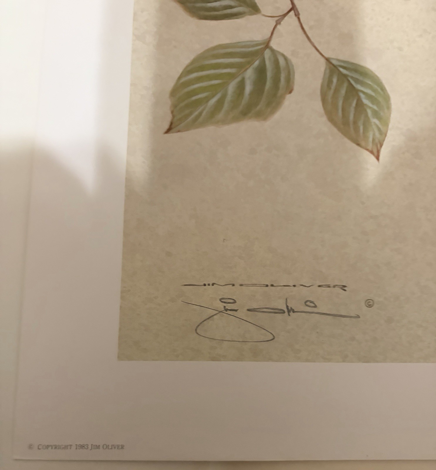 Jim Oliver Robins Plate No. 33 Signed 1983 Print Unframed 15 9/16×19 5/8