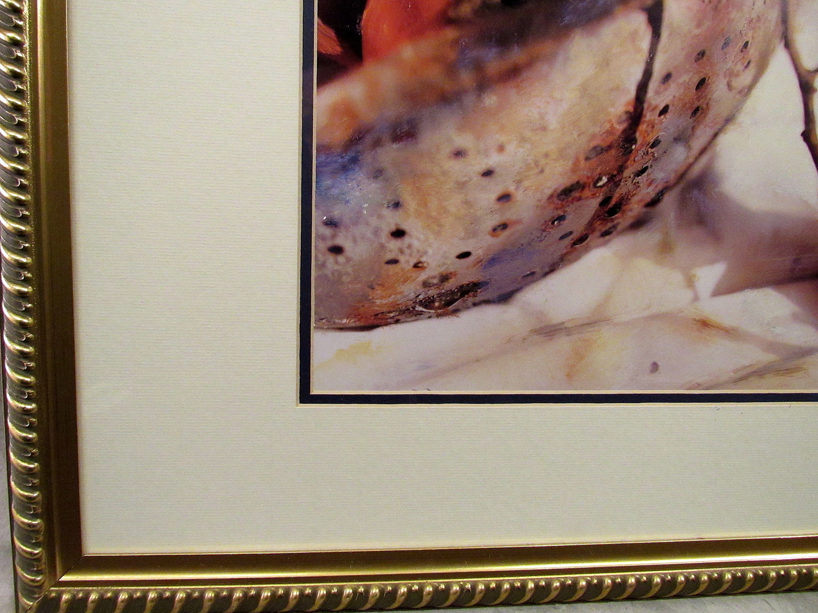 Artist Deborah Roundtree Framed Print PERSIMMONS Still Life art photo Gold frame