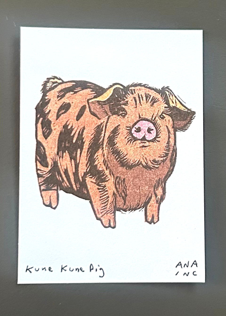 New Rare Custom Anastasia Inciardi “Kune Kune Pig” Mini Print