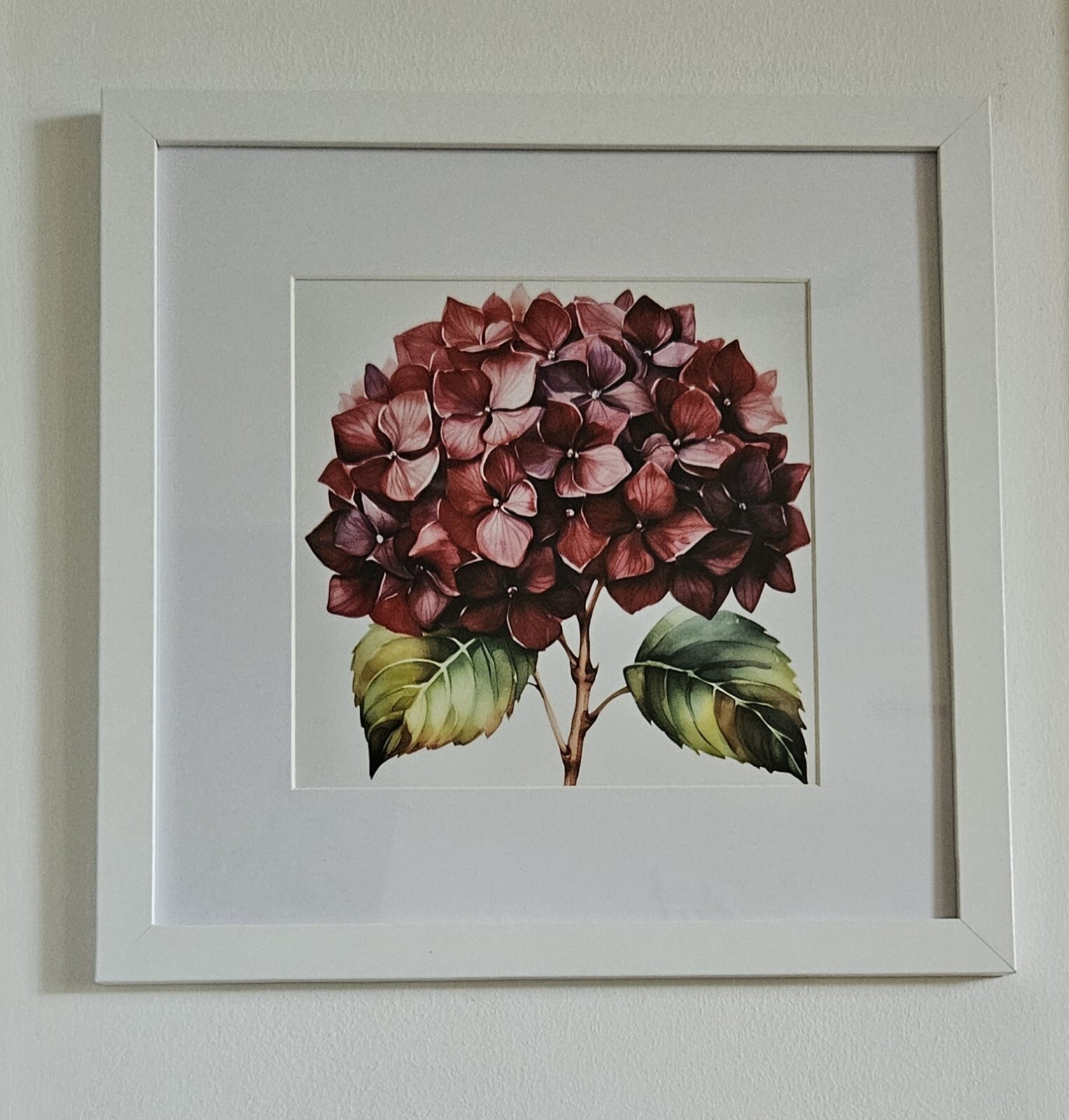 Framed Red Hydrangea Art Print 12×12″ White Wooden Frame Watercolor Style NEW