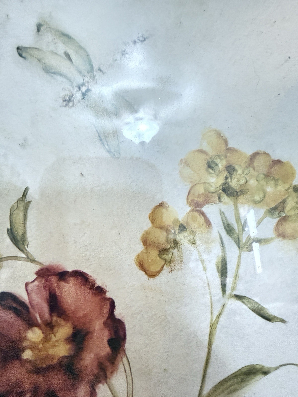 Set Of Two Vintage Cheri Blum Framed Floral Prints Wildflowers & Dragonflies