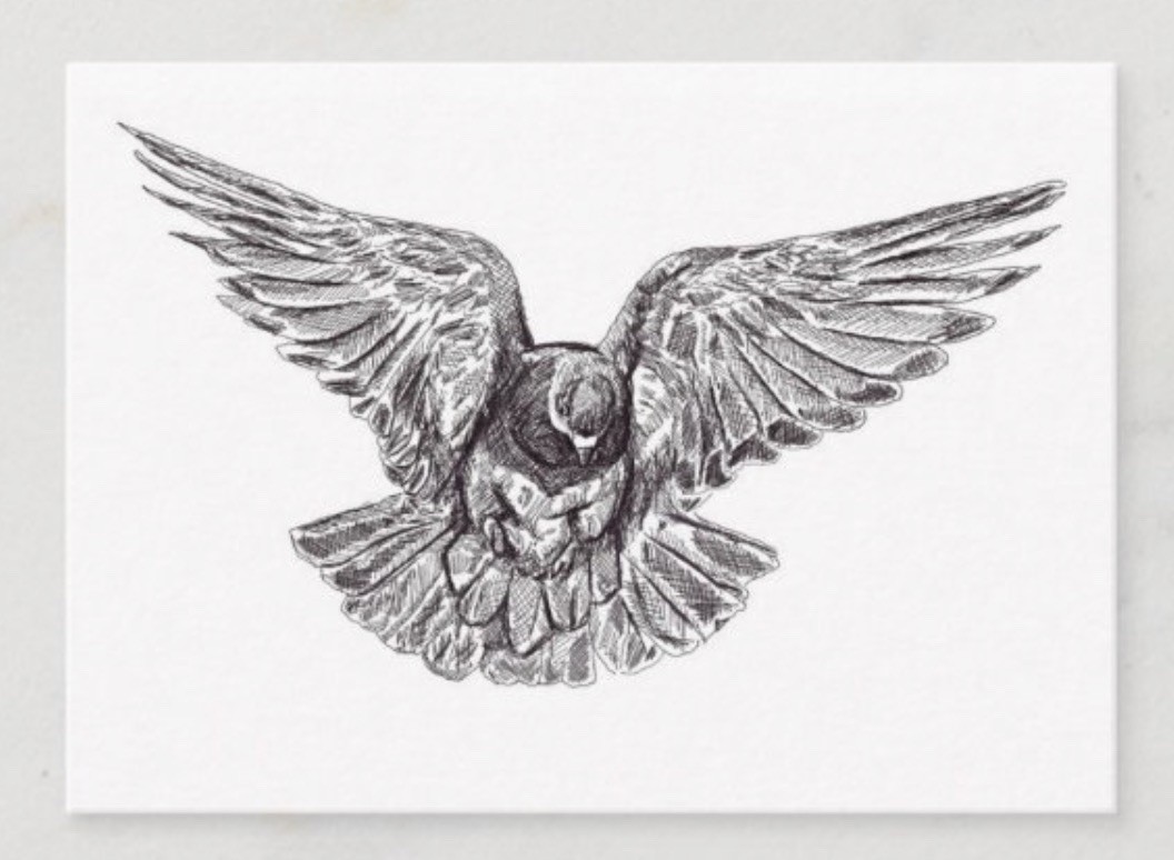 ACEO PRINT Pigeon Illustration Art Animal Nature Landscape by JENACKERMANART