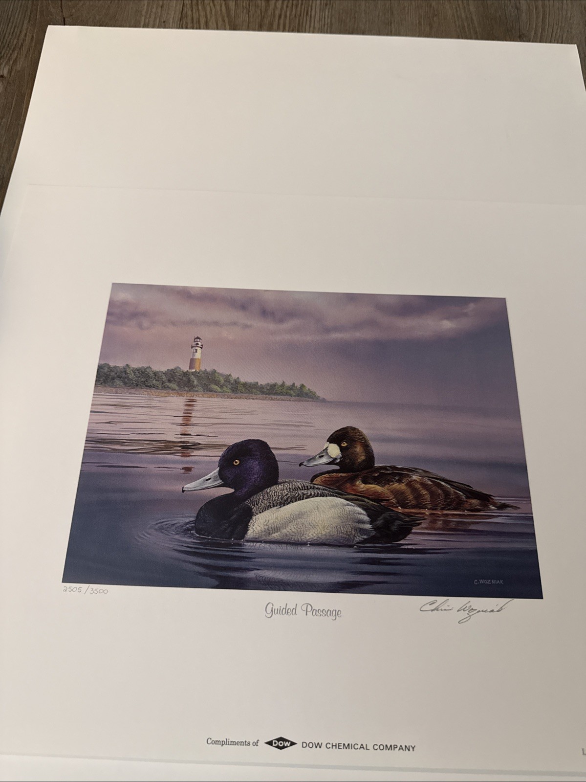 Ducks Unlimited Art Print & $5 Stamp Signed Chris Wozniak 1998 Guided Passage