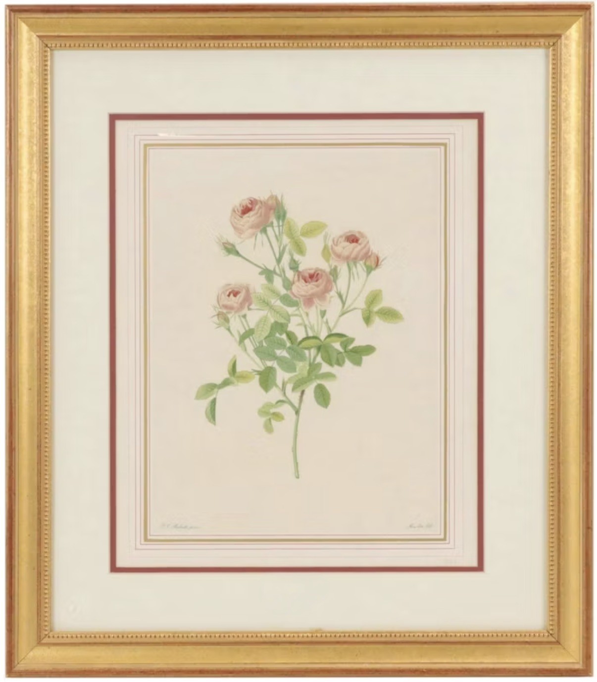 After Redouté Rose Botanical Print Gilt Frame French Floral Art