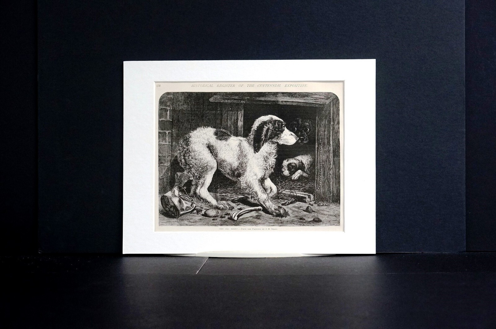 Beard Dog Crated OUT ALL NIGHT 1876 CENTENNIAL EXPOSITION Matted Art Print