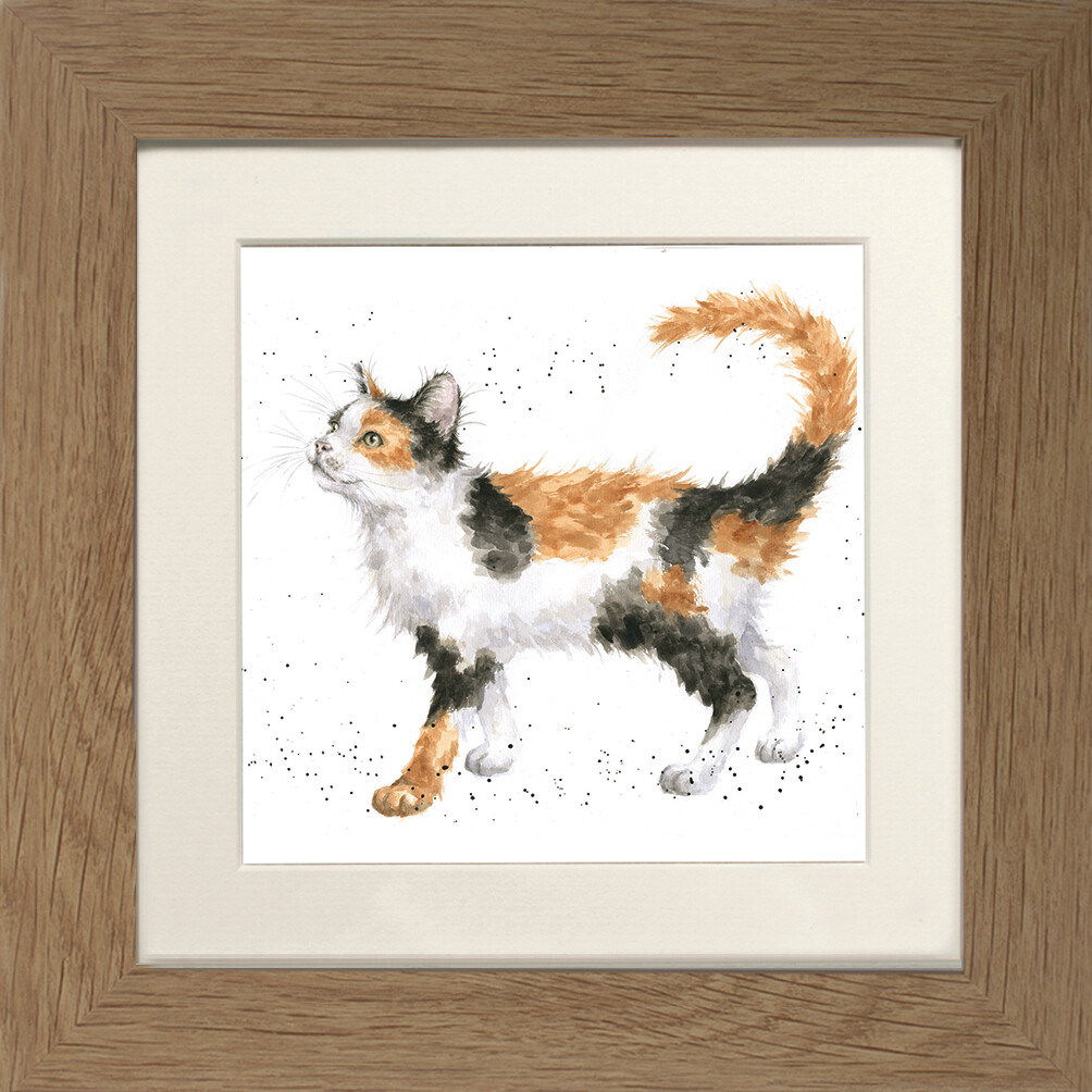 Wrendale Designs “Calico Cat” Cat 23cm Framed Picture FCS161 Oak