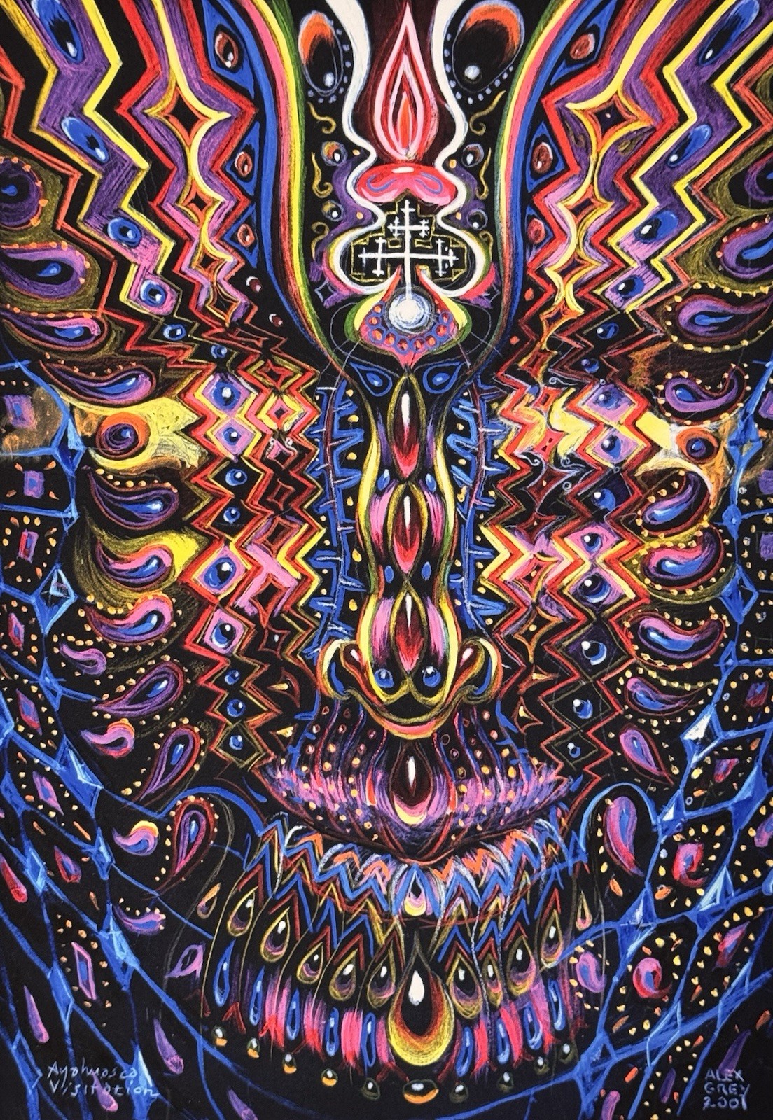 Alex Grey Ayahuasca Visitation Art Print S/# 61/200 w COA Psychedelic Visionary