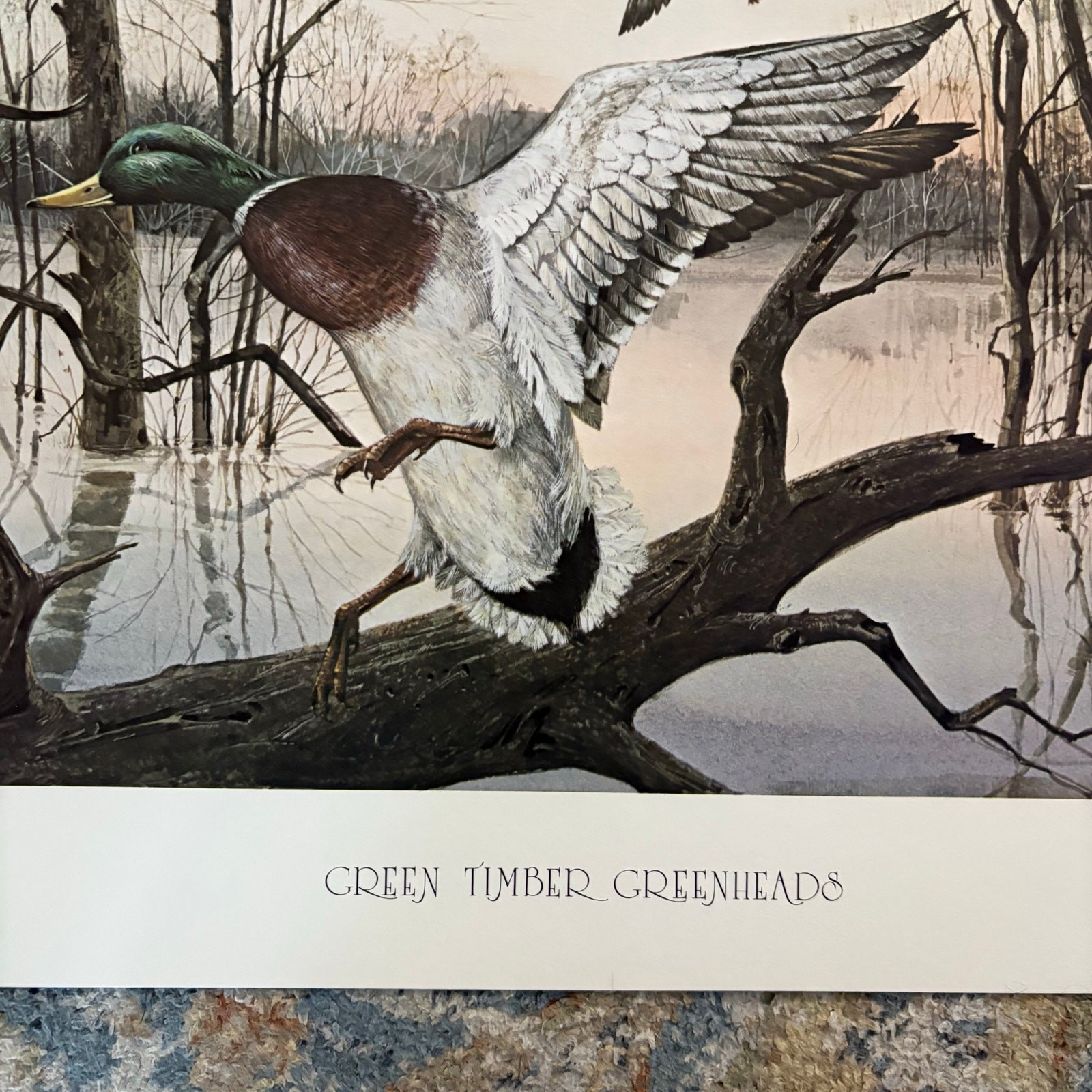 Ralph McDonald Green Timber Greenheads Signed Print Limited 1250 Countryside COA