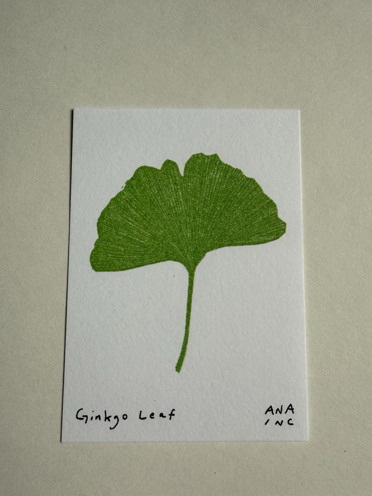 Ana Anastasia Inciardi Mini Print – Spring – Ginkgo Leaf