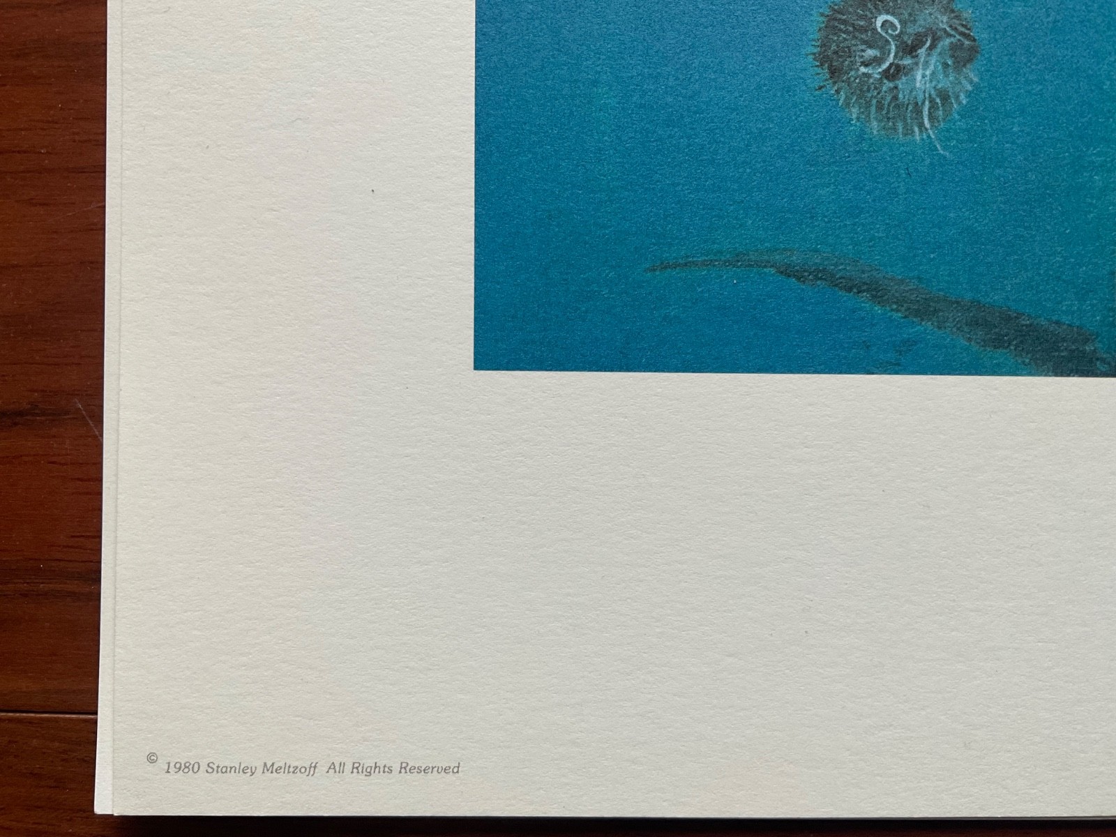Stanley Meltzoff Lithograph Print 1980 Yellow Fin Tuna Salt Sport Fishing