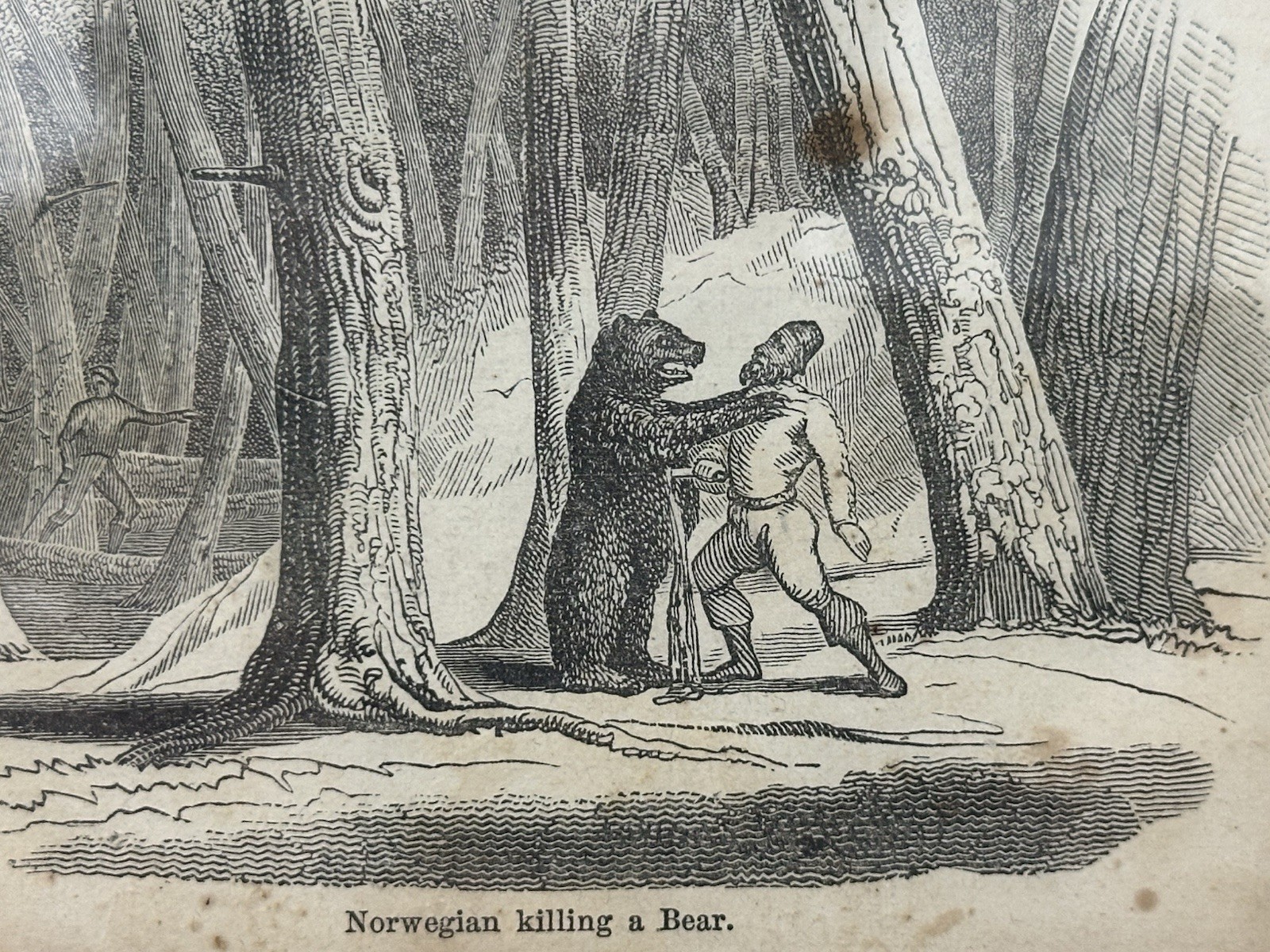 1853 Mitchell’s Primary Geography Engraving Norwegian Killing Bear Scene Antique