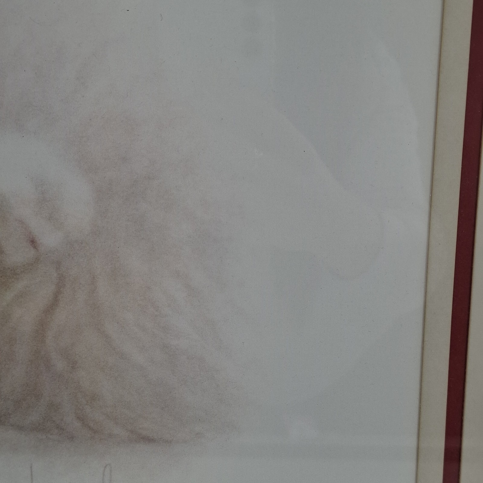 Sleeping White Cat Sleepy time By Bob Harrison 1980’s Framed Print 63.5cm x 53cm