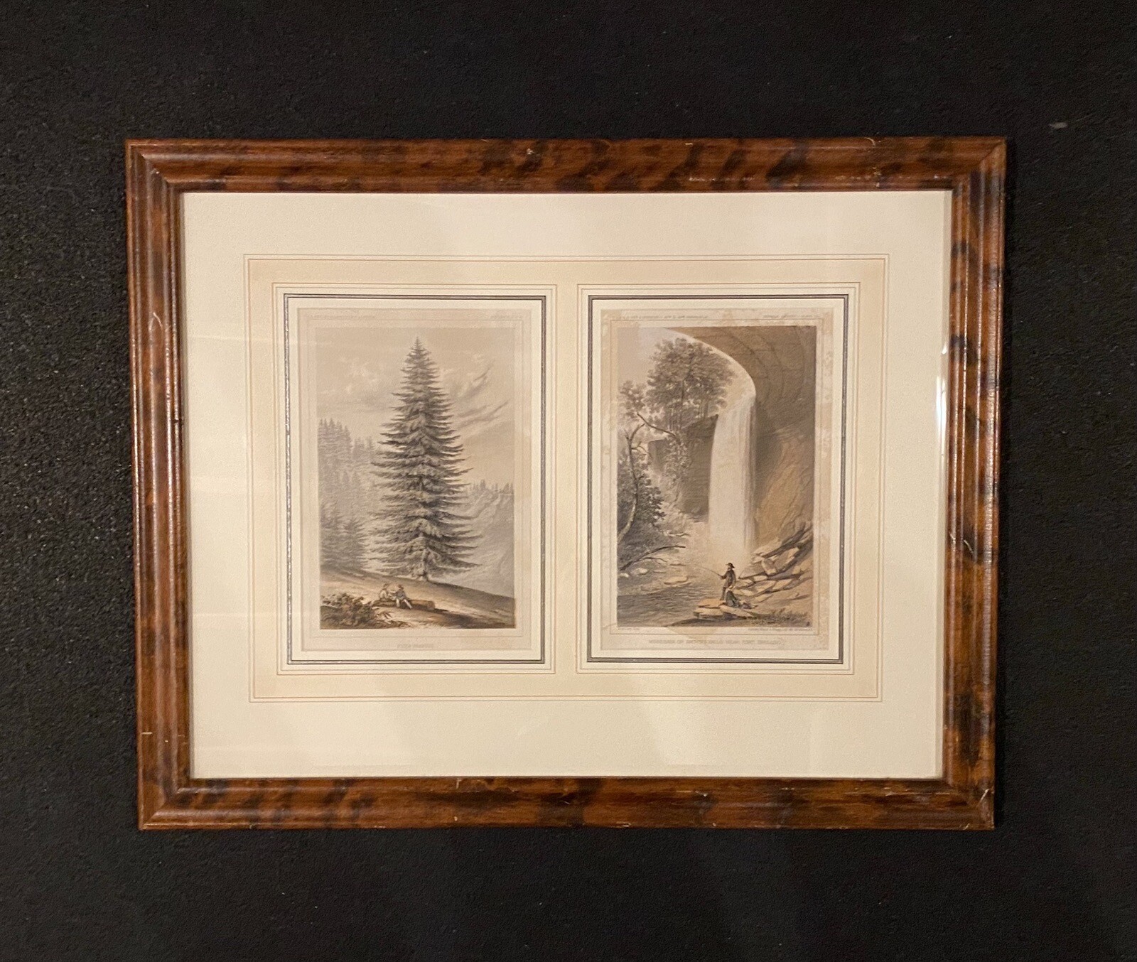 1865 J. M. Stanley & J. Young Prints “Brown’s Falls & Picea Grandis” Lithographs
