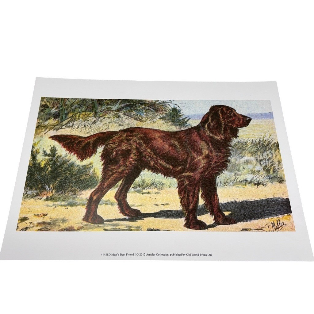 Old World Prints Mans Best Friend I Irish Setter Art Print 13×9.5 NO FRAME