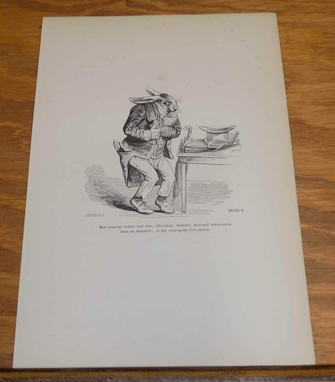 c1840 Print/Comical Animals in Human Situations/MY NEW MASTER WAS GOOD RABBIT