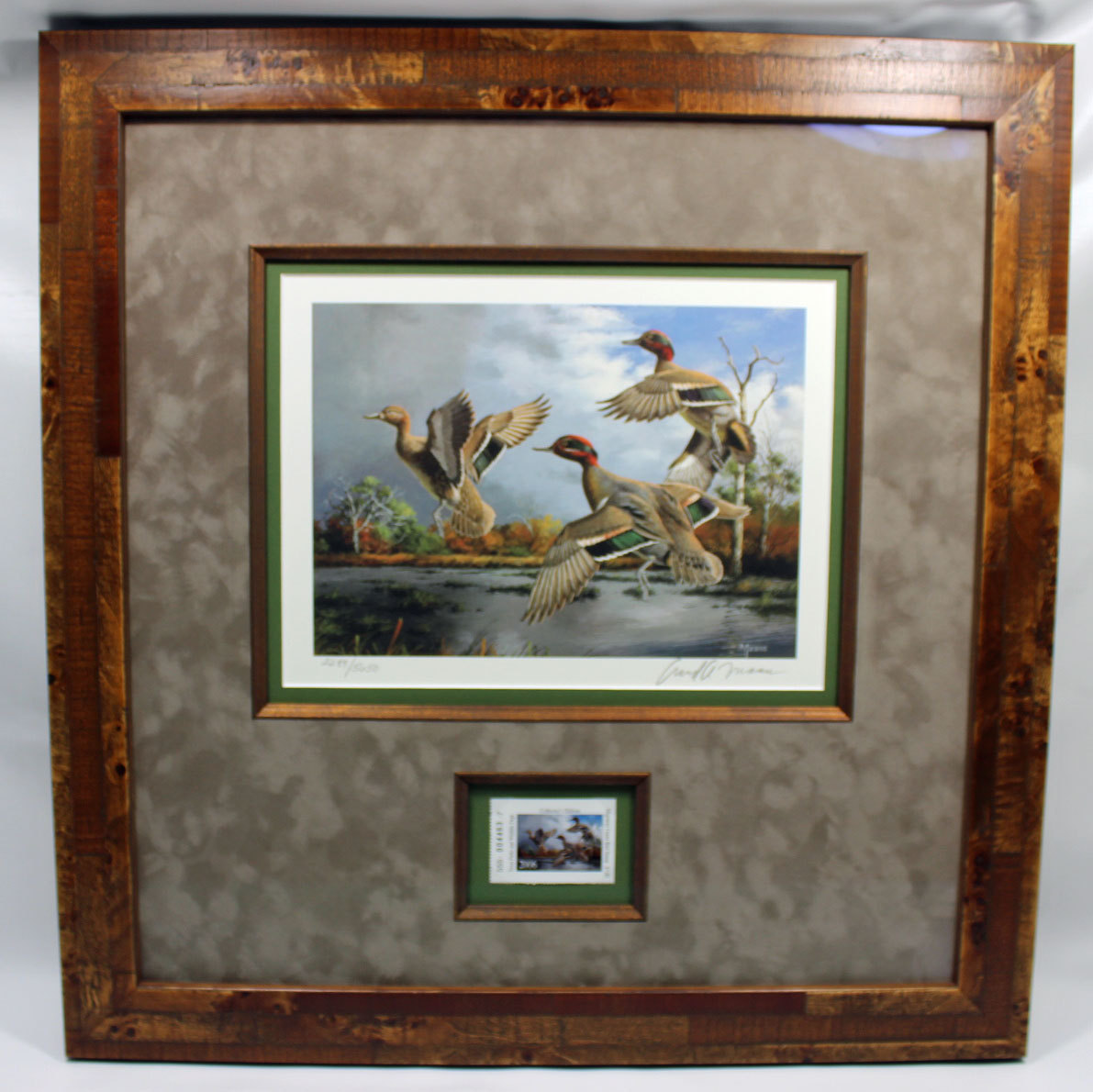 2006 Texas Waterfowl Duck Conservation Stamp Print Framed New Mint S/N