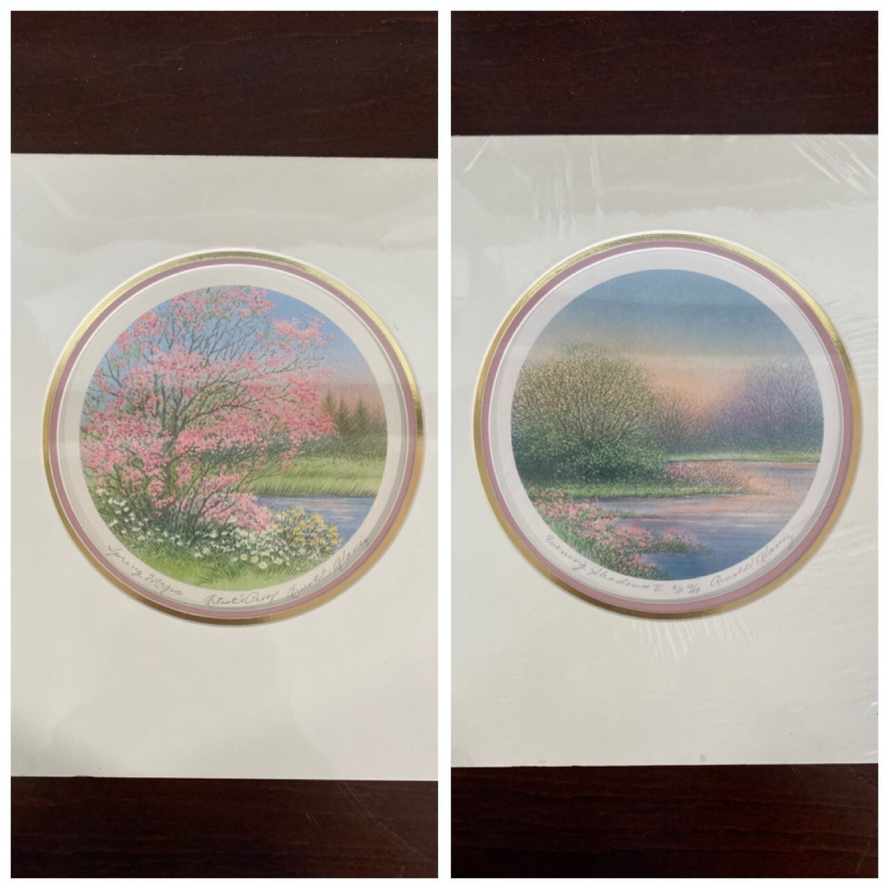Arnold Alaniz Signed Artist Proof Print – Spring Magic & Evening Shadows II (C)