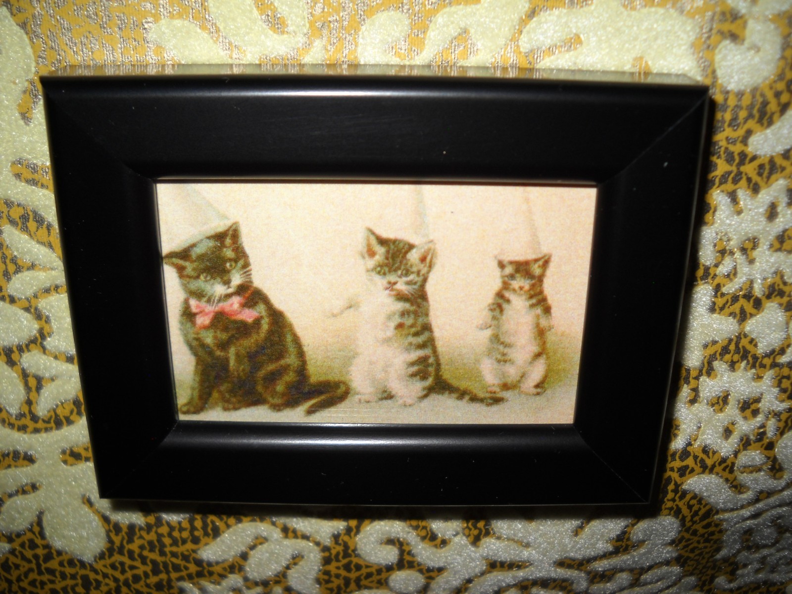 CATS IN DUNCE HATS very Small 2 X 3 black framed Victorian style animal picture
