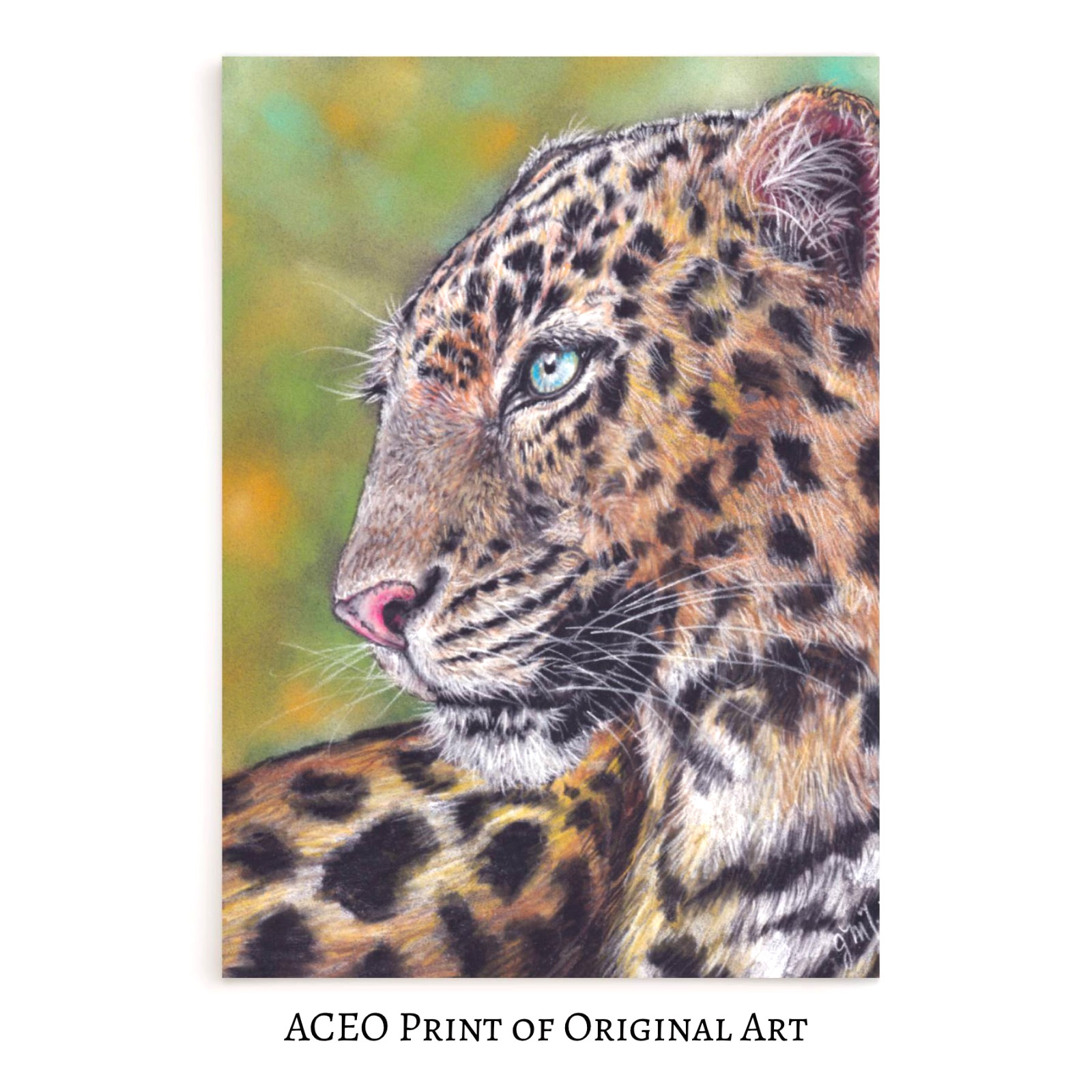 ACEO Print of Original Art, Leopard, Wildlife. Collectible Art Card, Mini Art