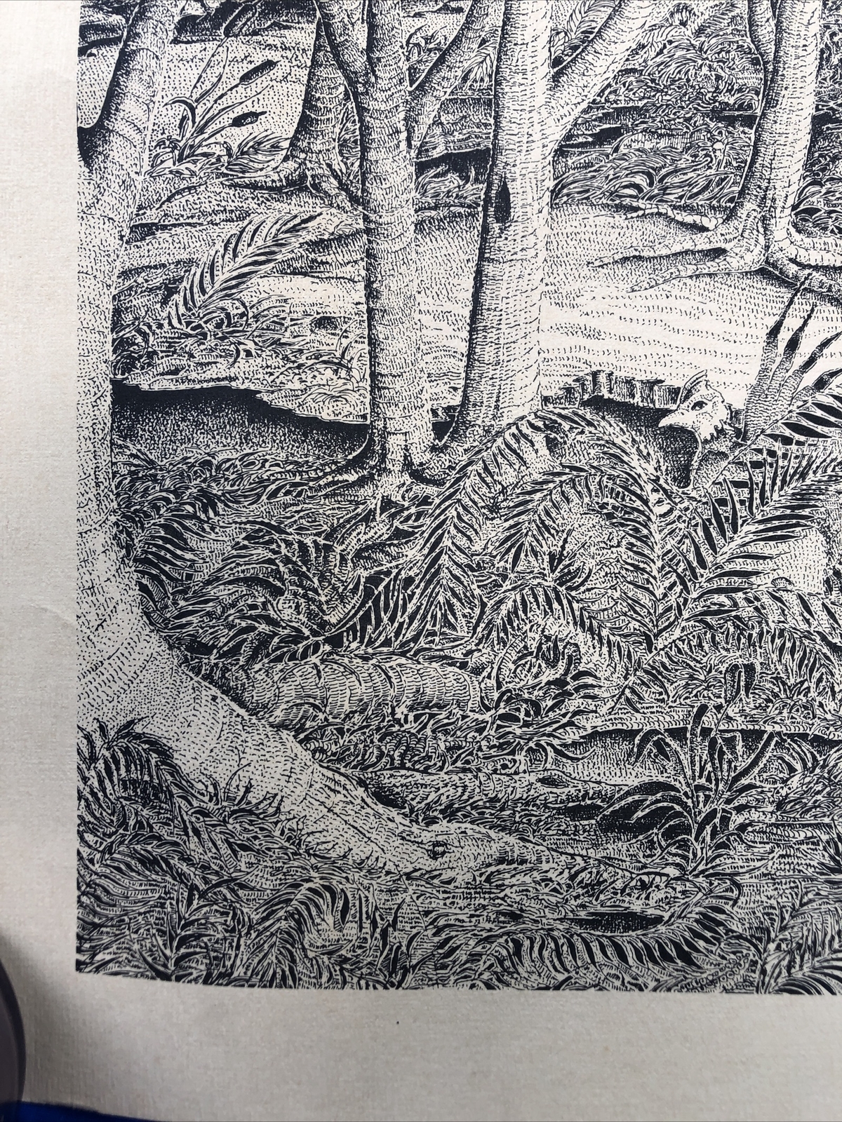 Vintage Pointillist Surrealist Print 1974 DICK BOAK 16.75×23 In. Garden of Eden