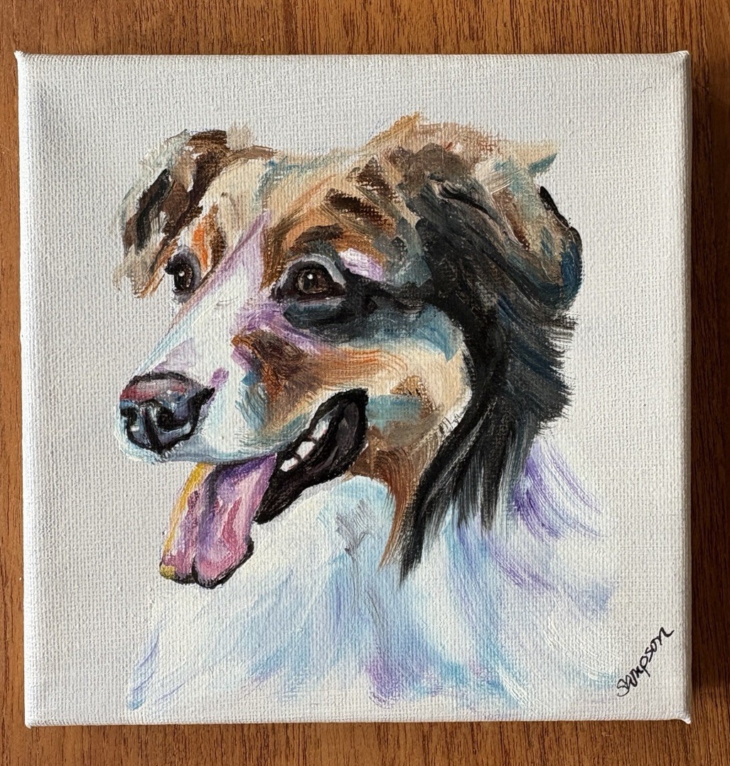 Australian Shepherd SIGNED Original Painting Debbie Sampson 6×6 Dog Portrait