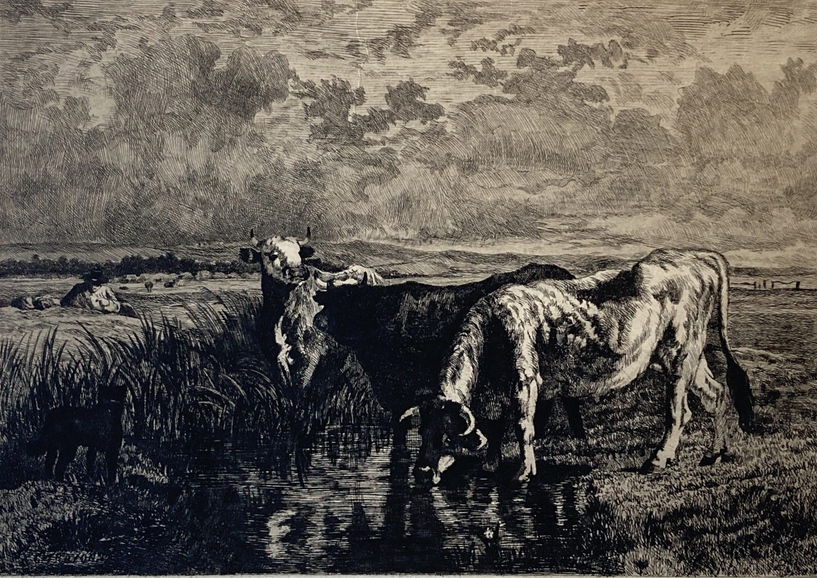 Constant Troyon Etching Richly Inked Three Cows, Man Resting Signed In Image