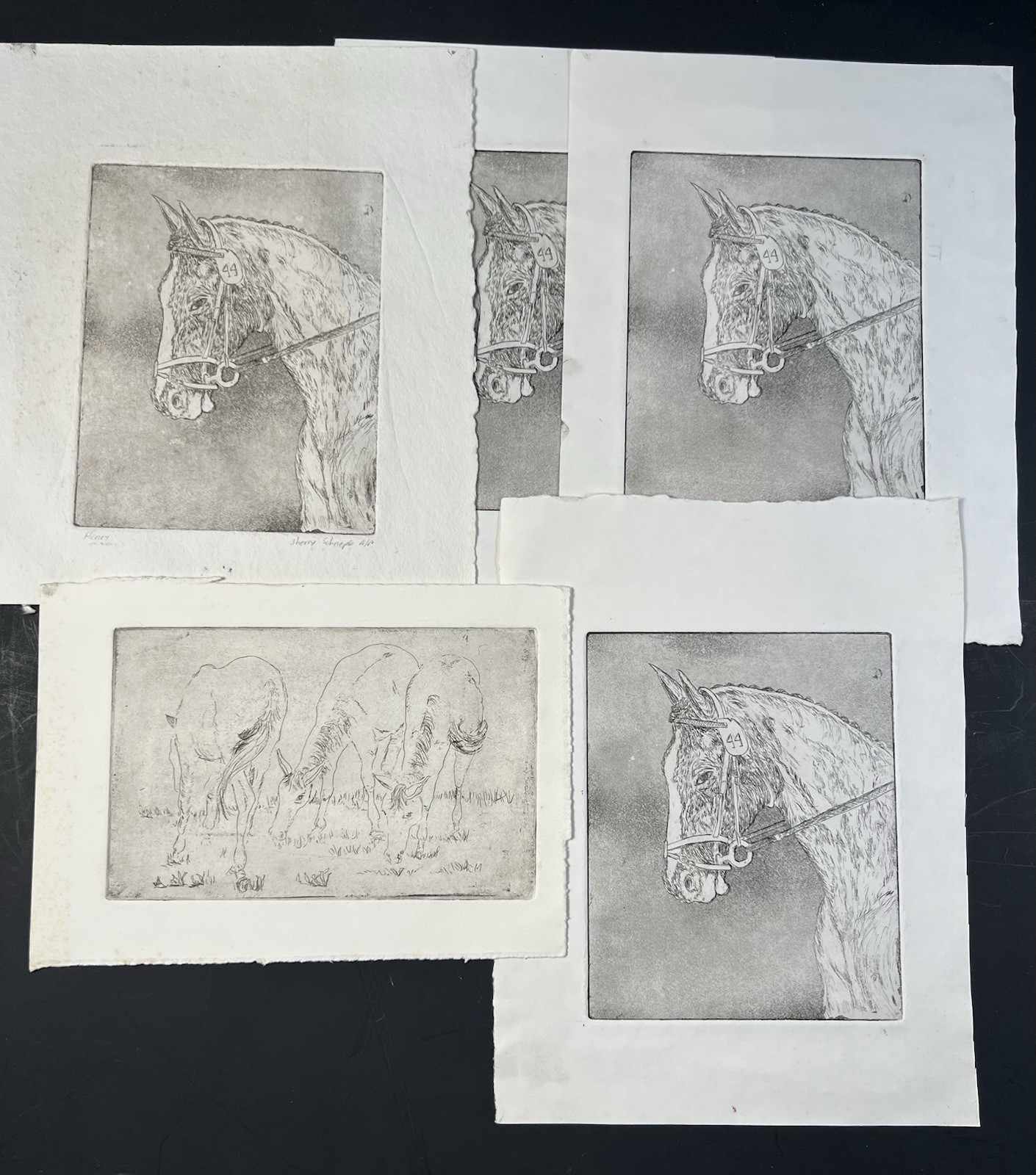 Collection Of 5 Vintage Horse Engraving Prints Portrait & Grazing Horses Art