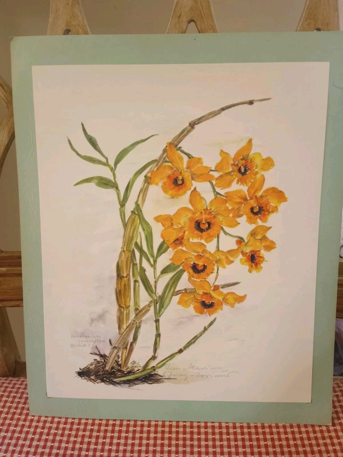 Orchids Watercolor Signed Print~Garden Flowers~8×10 Unframed