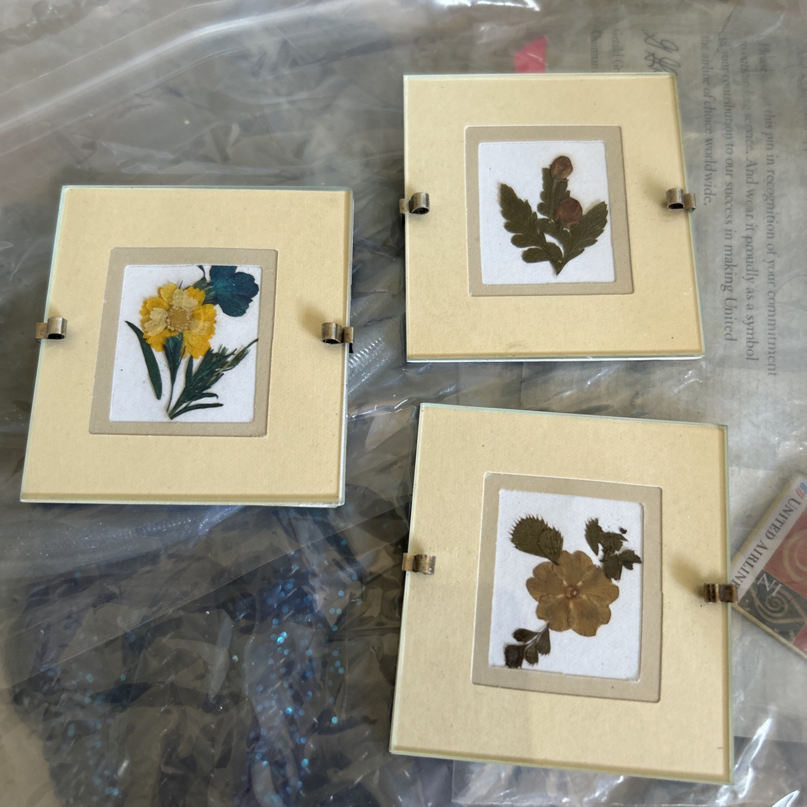 BOTANICAL FLOWER PRINTS WITH WHITE/Beige Yellow FRAMES SET Of 3: 2 1/2 x 2 1/4