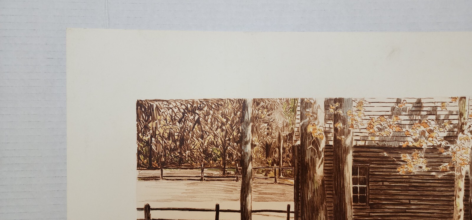 “Autumn Warm” 22 3/4″ x 18 1/8″ Large Print