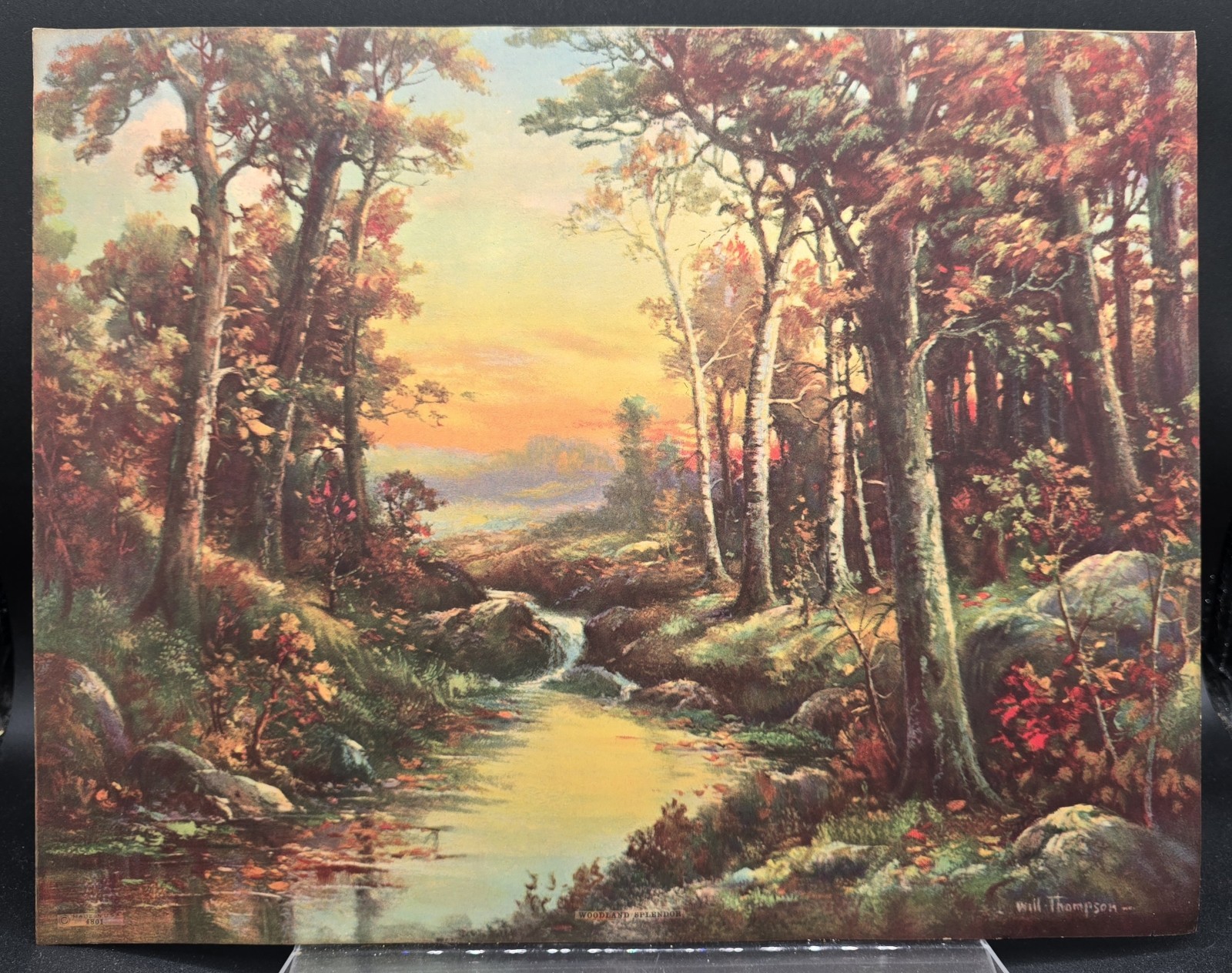 Vintage Will Thompson Woodland Splendor Gloaming Sunset Birch Trees Along Stream