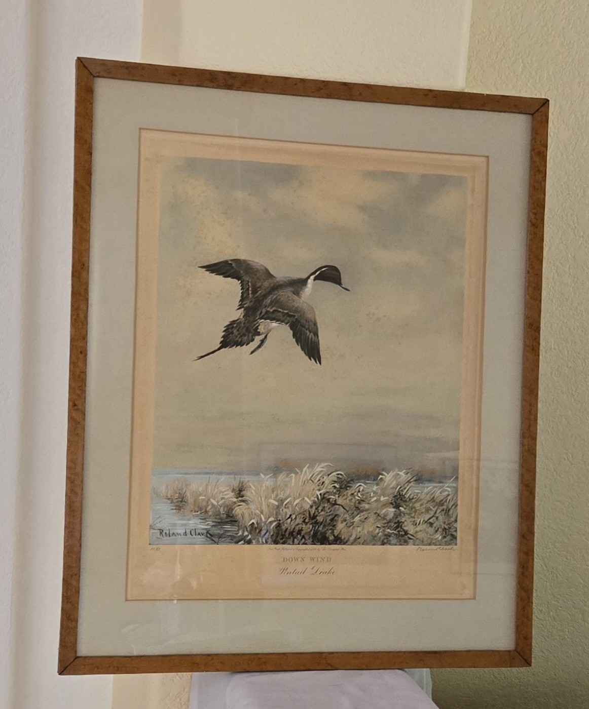 Roland Clark print “Down Wind” 16″ x 19.5″ framed, 21″ x 25.5″ lim. ed. 250/87