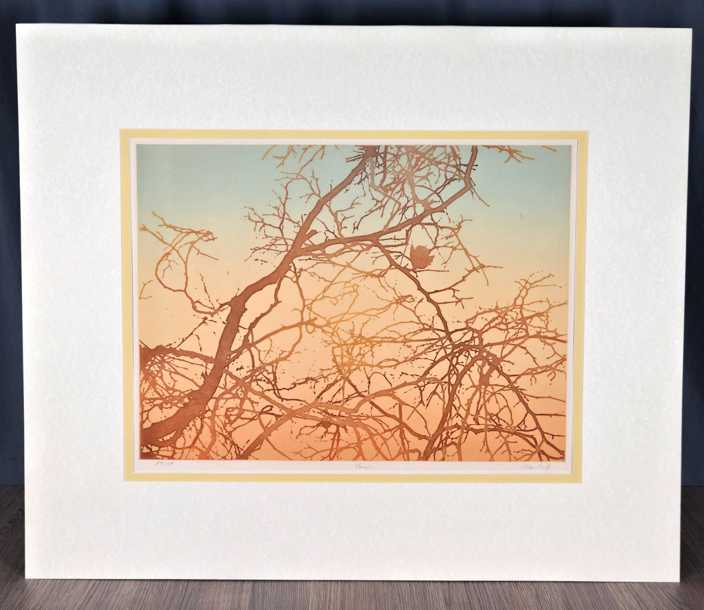 Brian Braff signed numbered print / etching titled “Changes” trees