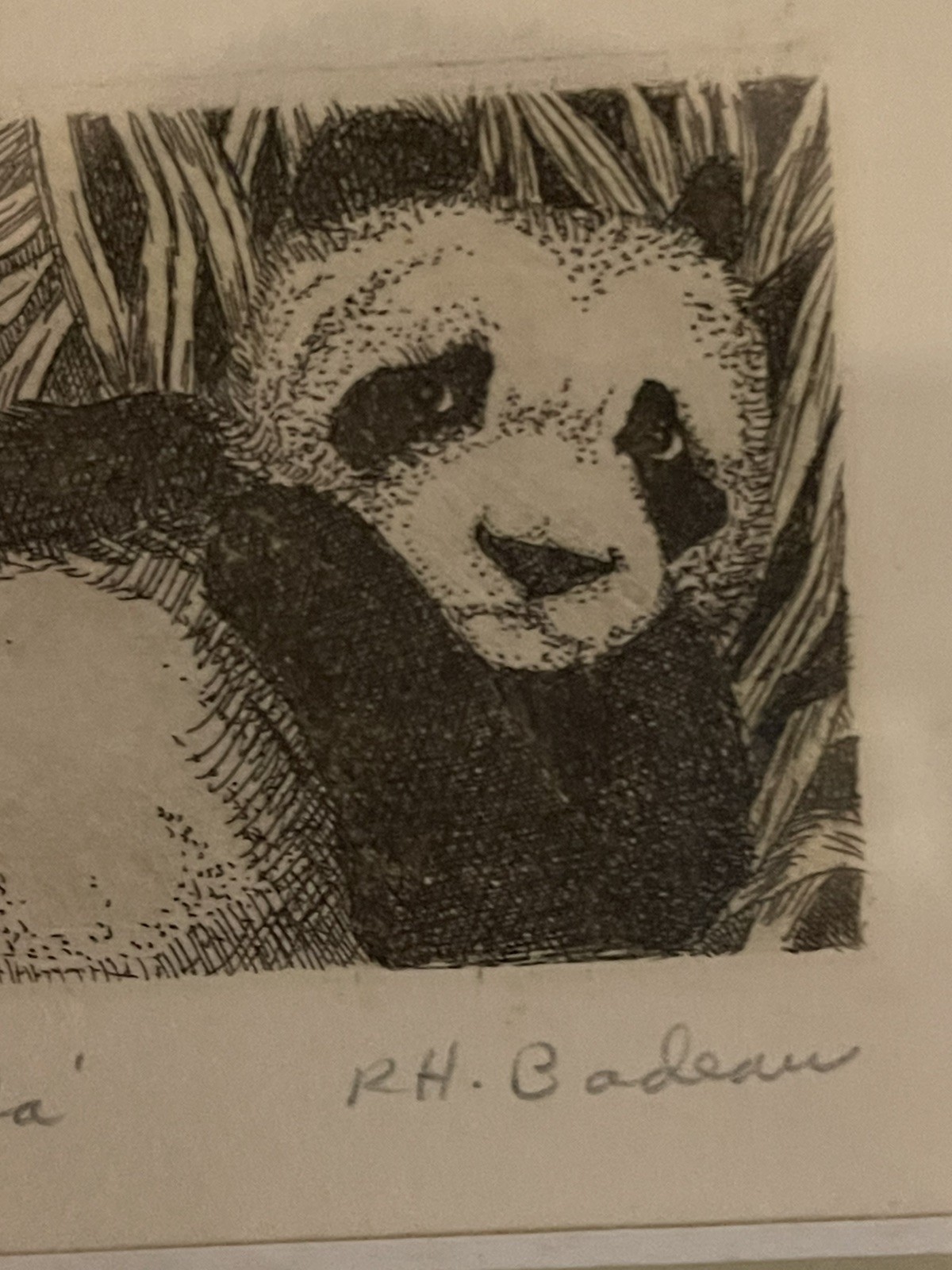 Vintage Signed Artist RH. Badeau Limited Edition Black Ink Etching “Panda”