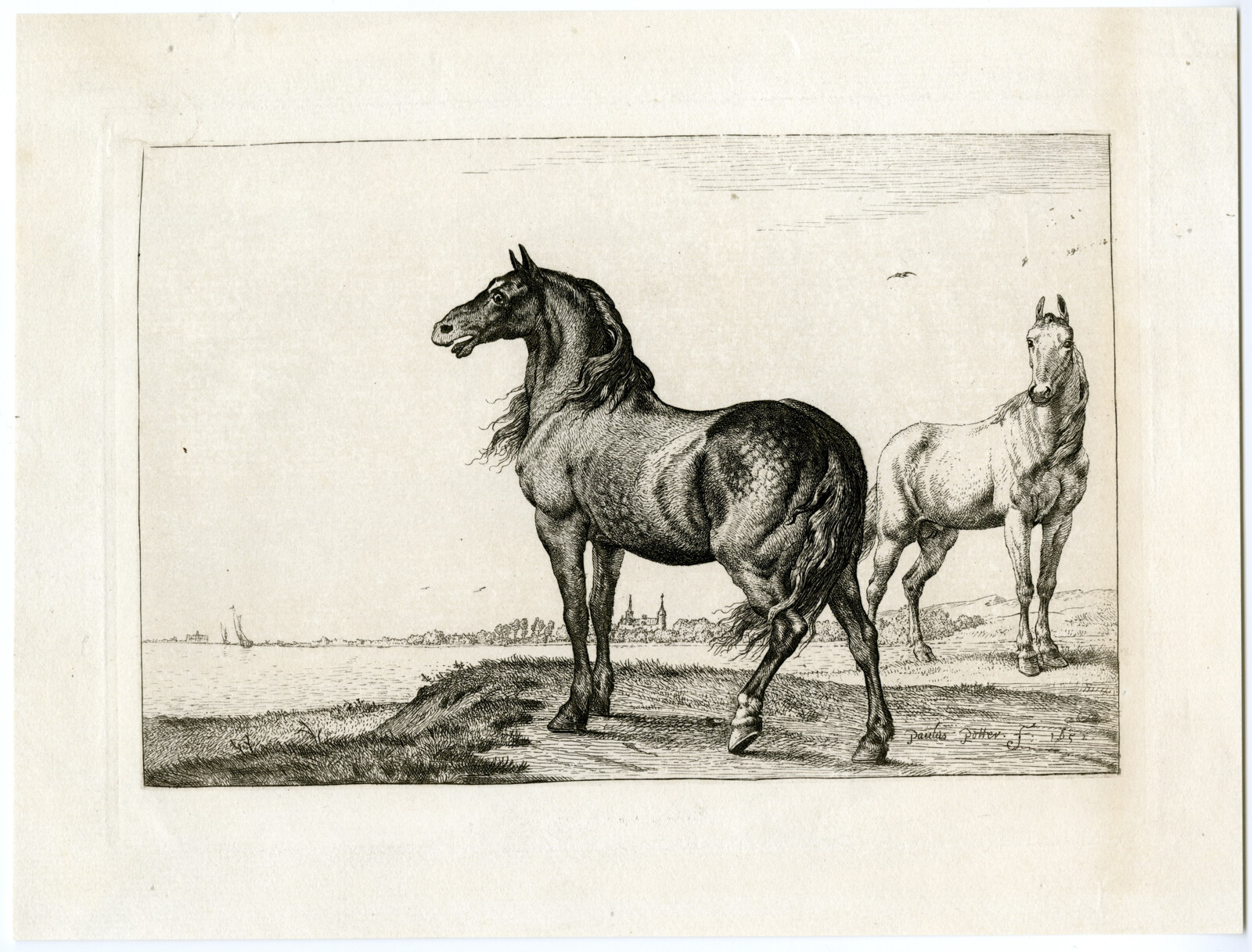 Antique Master Print-HORSES-LAKE-BANK-Potter-1652
