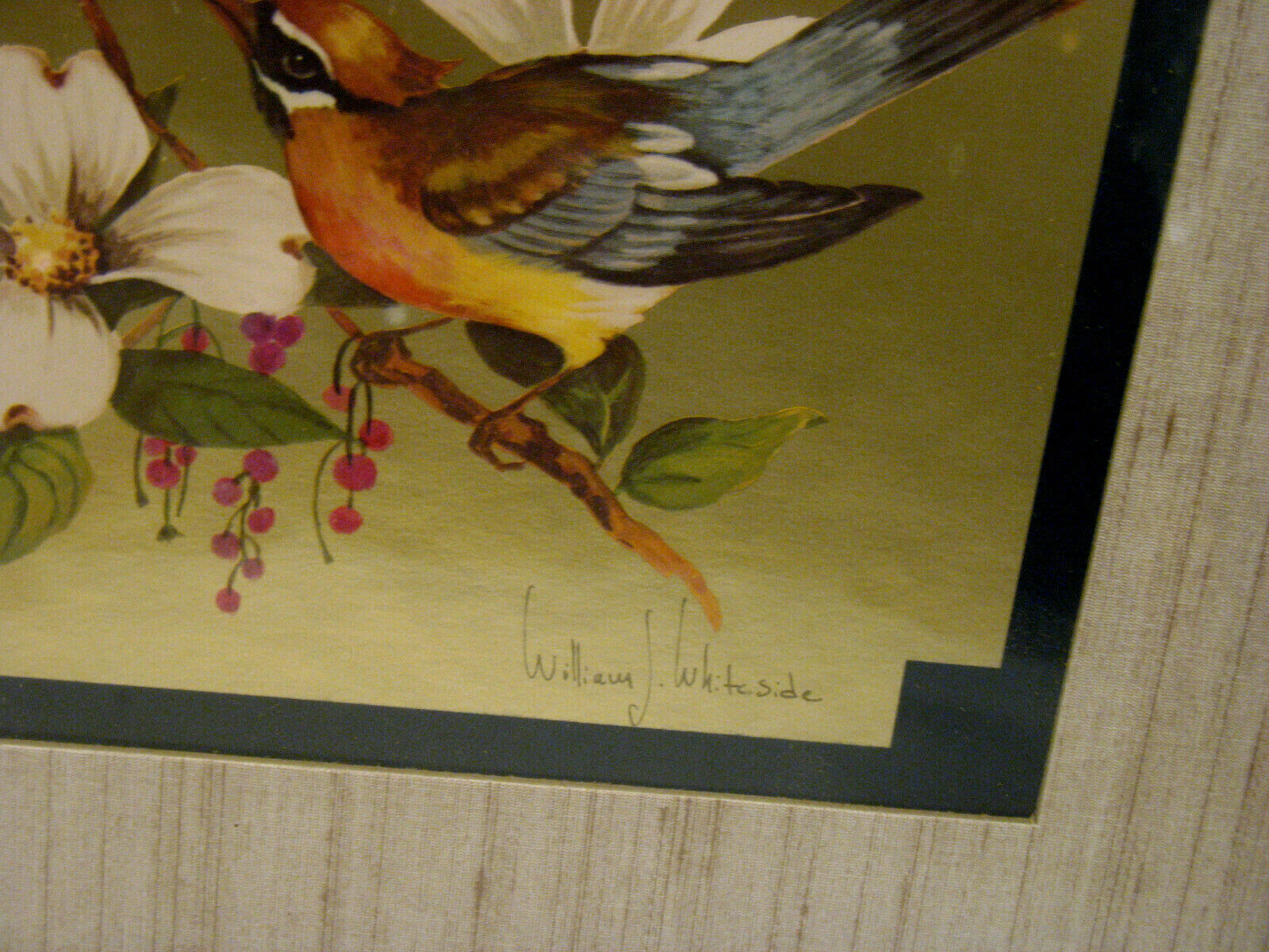 Vintage Print William J. Whiteside Gold Foil Birds on Dogwood SIGNED FRAMED
