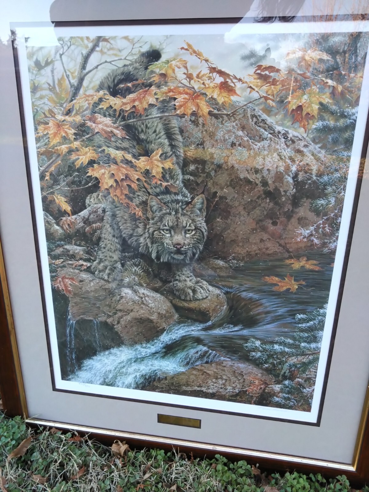 First Fall – Lynx By Lee Kromschroeder, Lithograph Print, Signed, 435/950