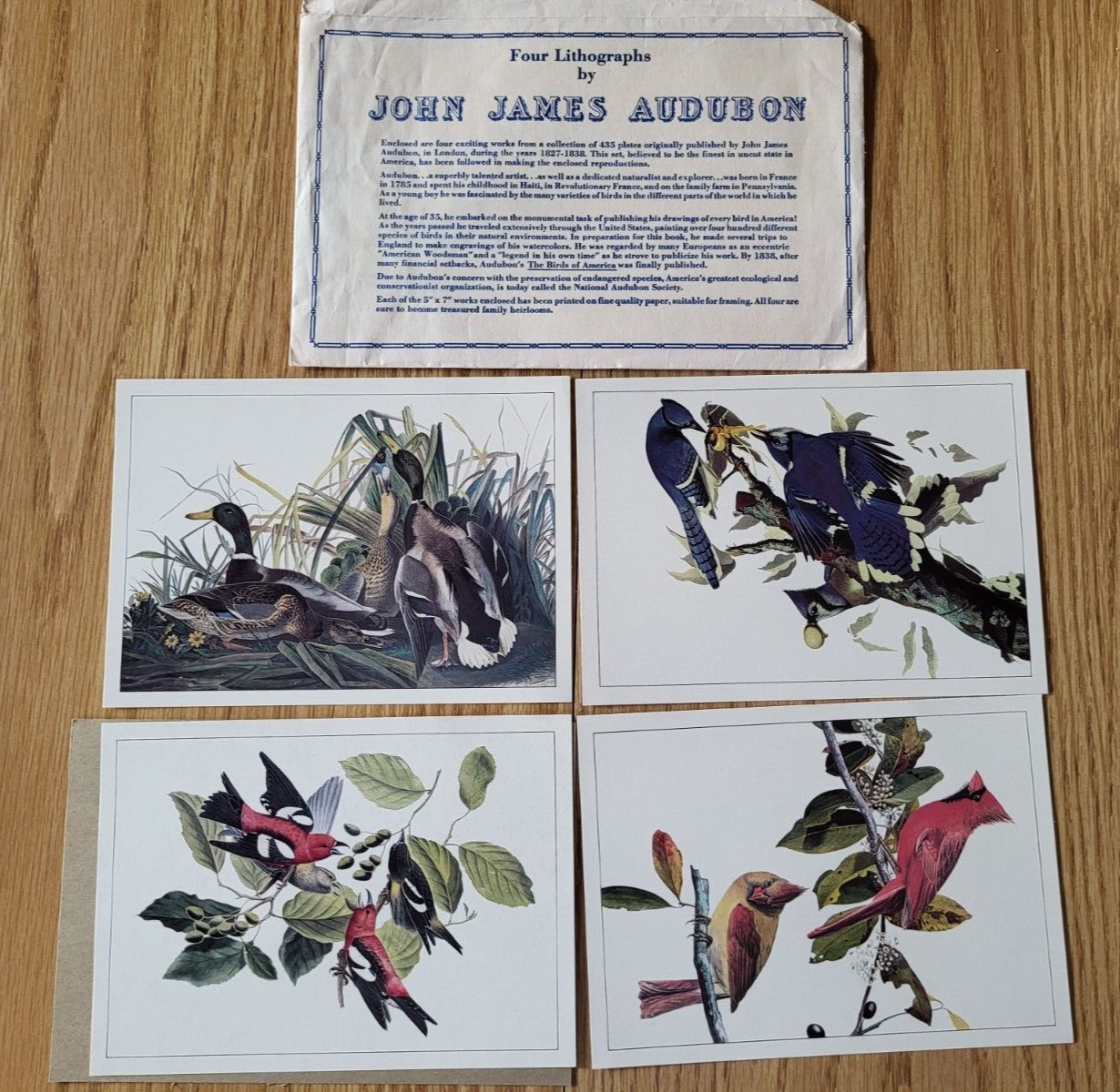 Set 4 Lithographs 5×7 by John James Audubon ” Birds of America” Blue Jay Mallard
