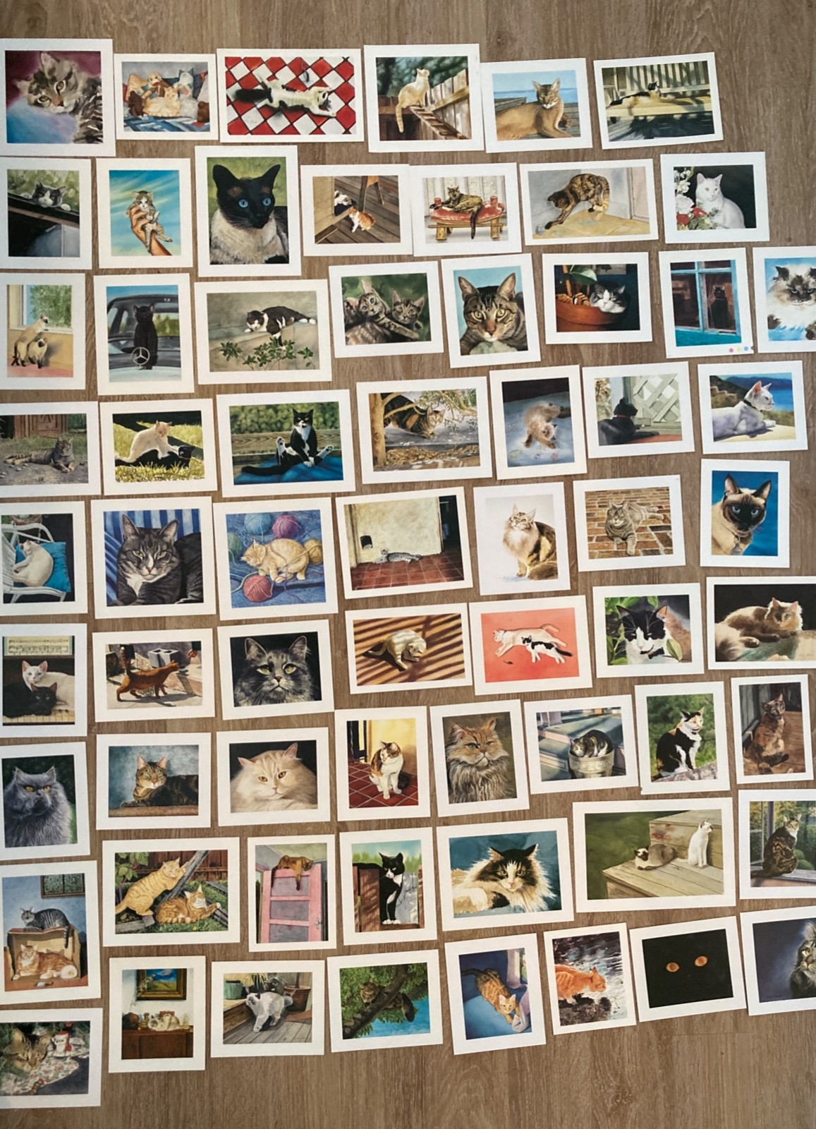 65 Drew Strouble Cat Art Prints +Catalog Wholesale Lot NOS Offset Lithographs