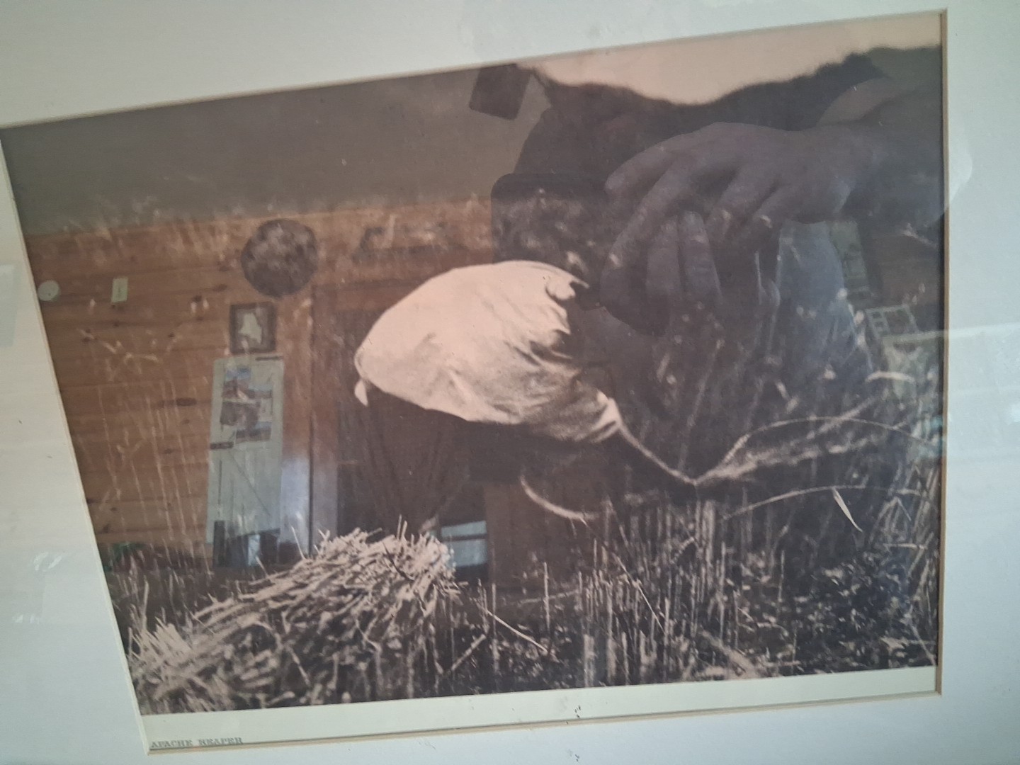 The Apache Reaper