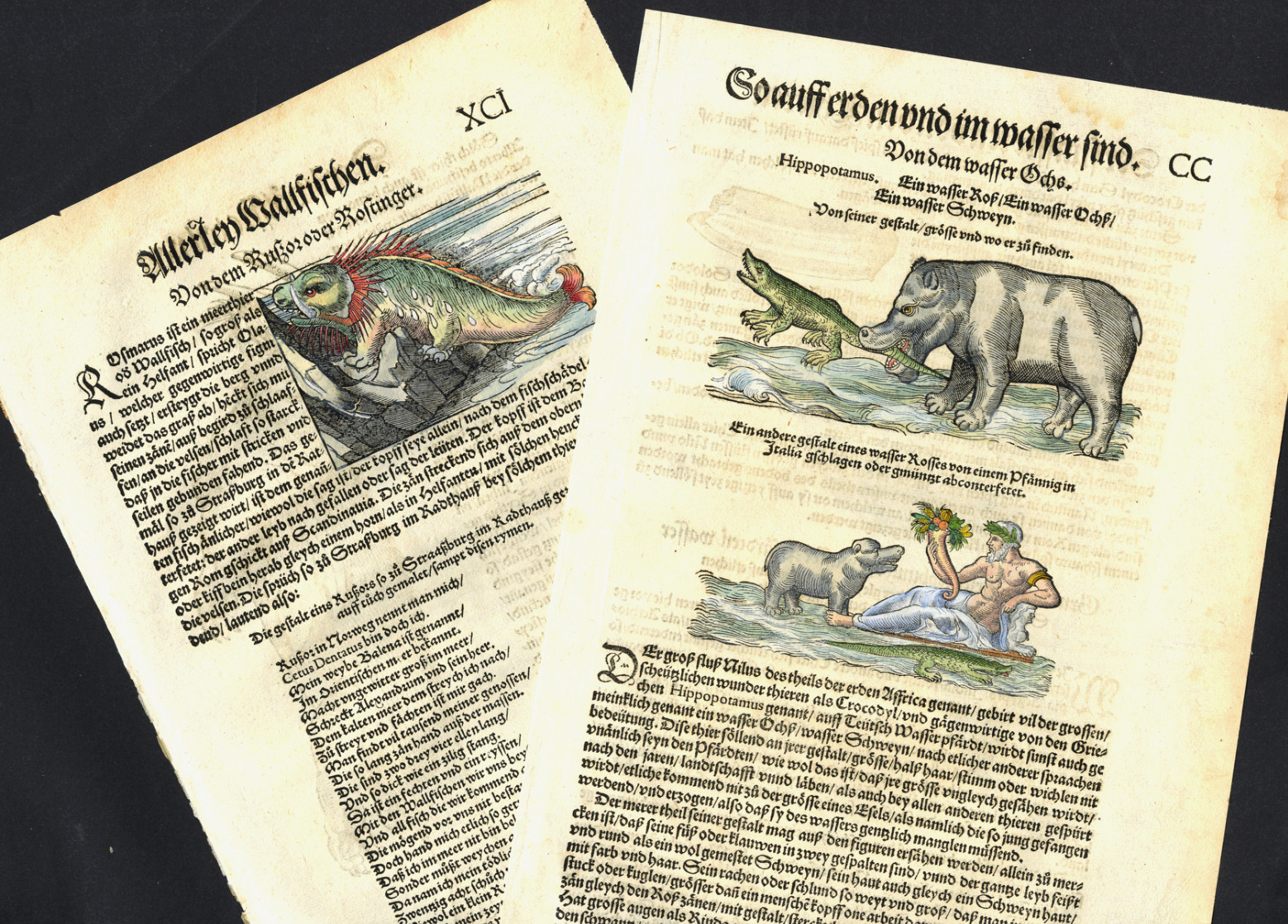 2 RARE 1563 GESNER SEA MONSTER AND HIPPO AND CROCODILE WOODCUTS 462 YEARS OLD