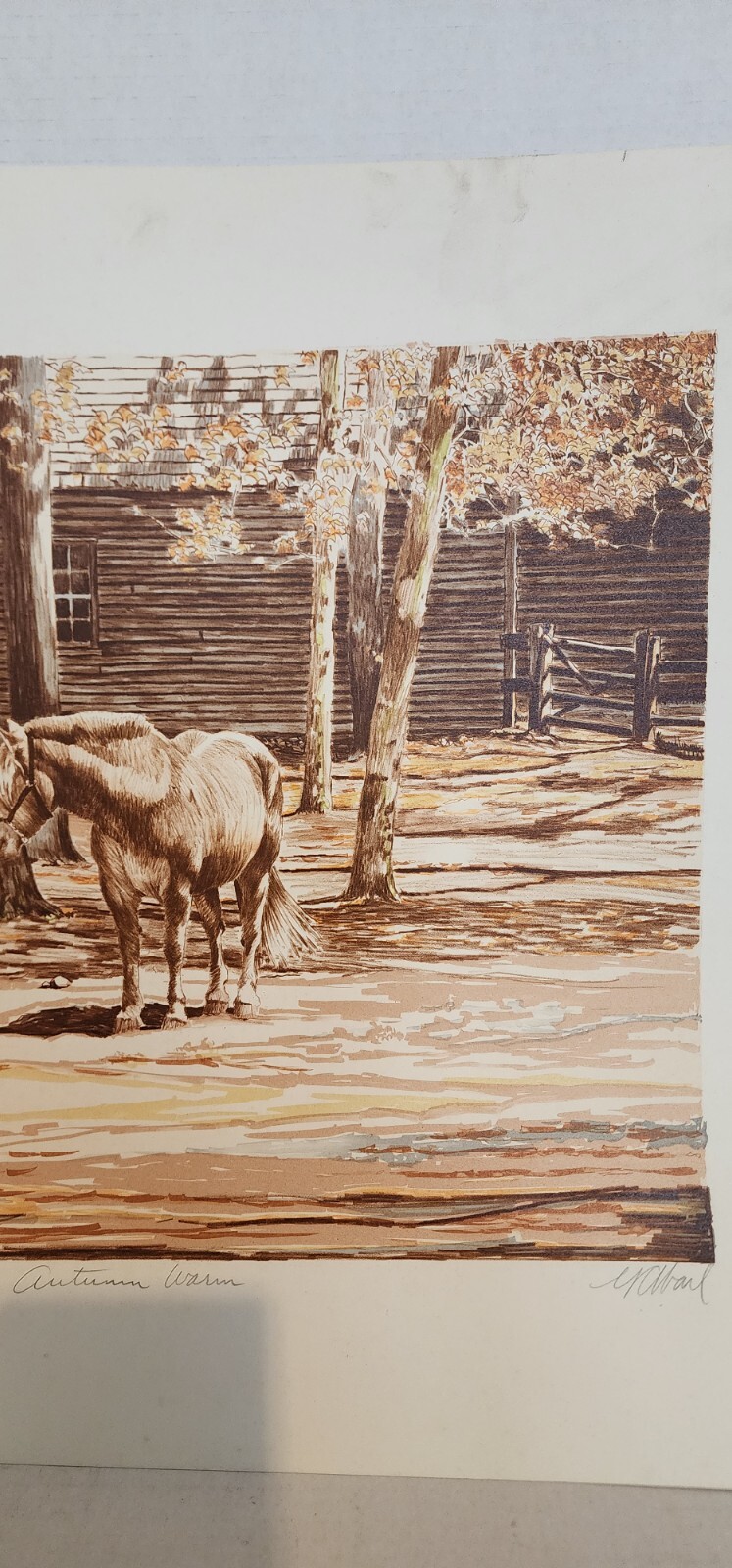 “Autumn Warm” 22 3/4″ x 18 1/8″ Large Print