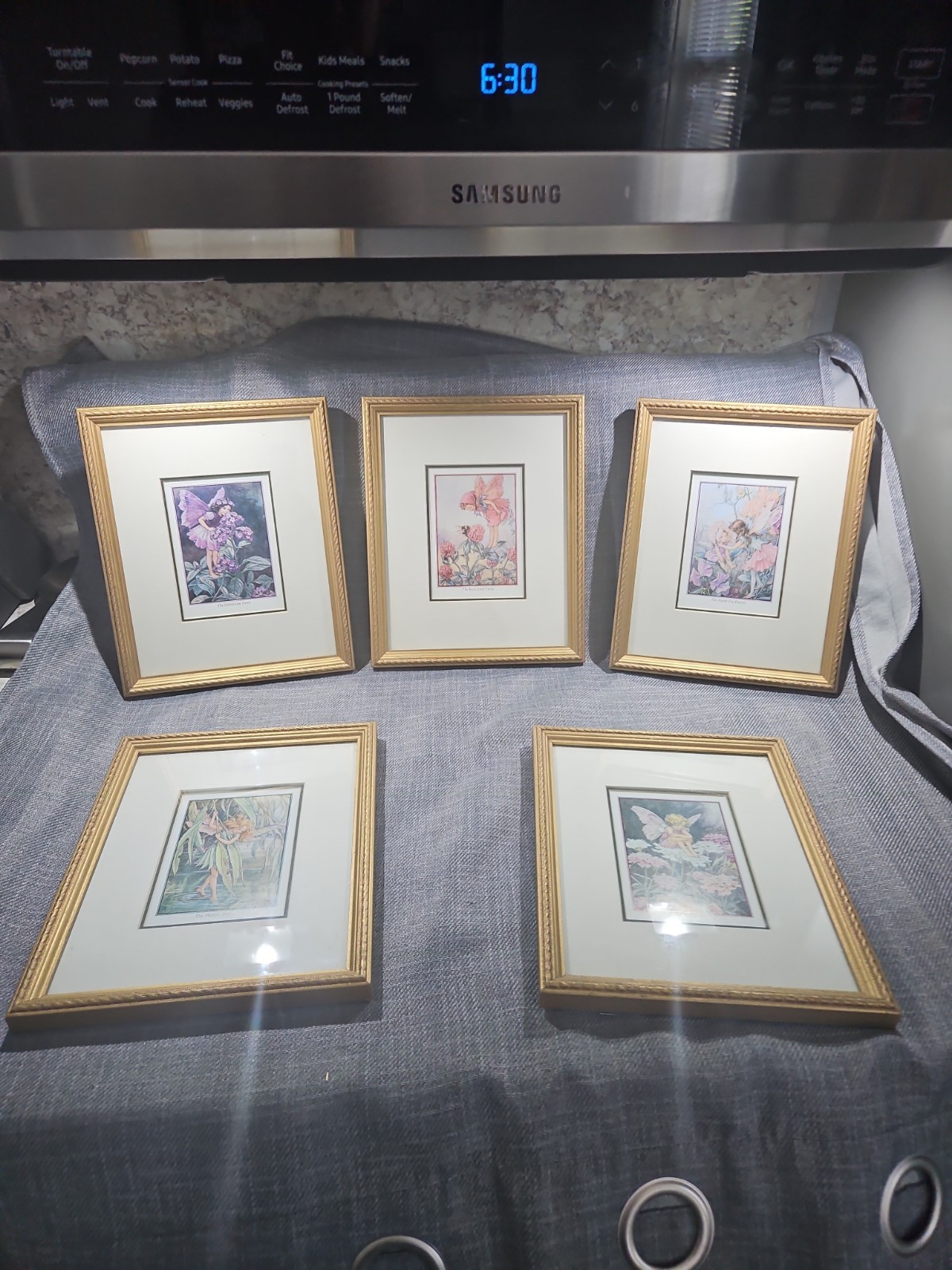 vintage cicely mary barker framed prints fairies triptych Set Of 5