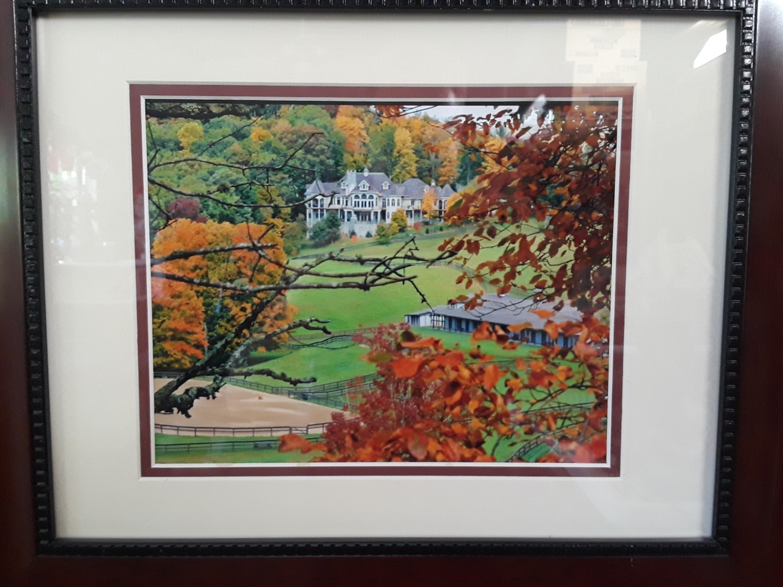 Equestrian Estate Horse Farm Framed Matted Photo Autumn Maryland 17″x14″
