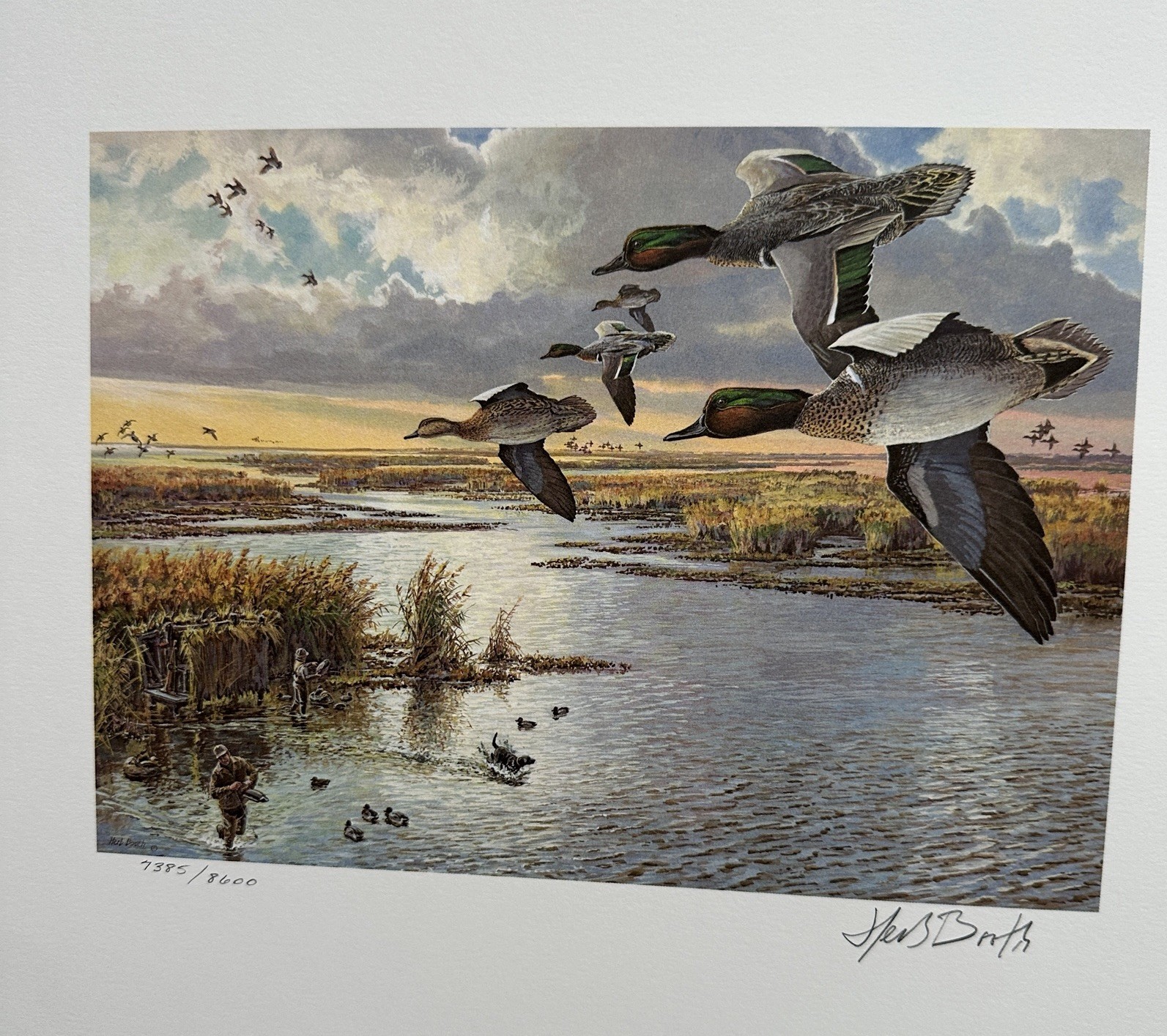 Signed, Limited Edition 1986 Texas Duck Stamp Print By Artist Herb Booth